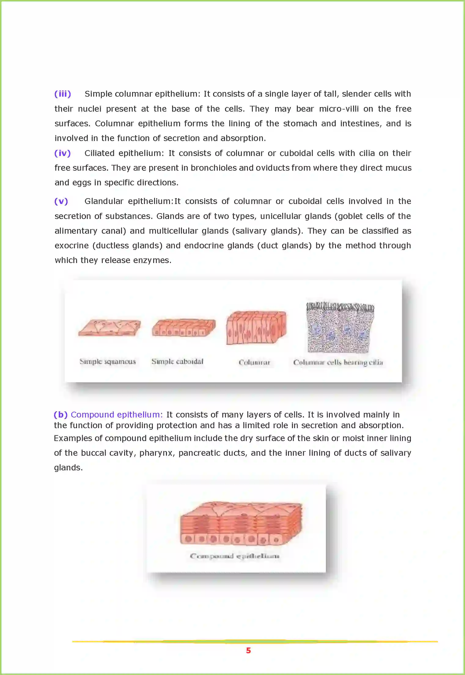 NCERT-Solution-Class-11-Biology-Chapter-7-Structural-Organisation-in-Animals-2617-page-5