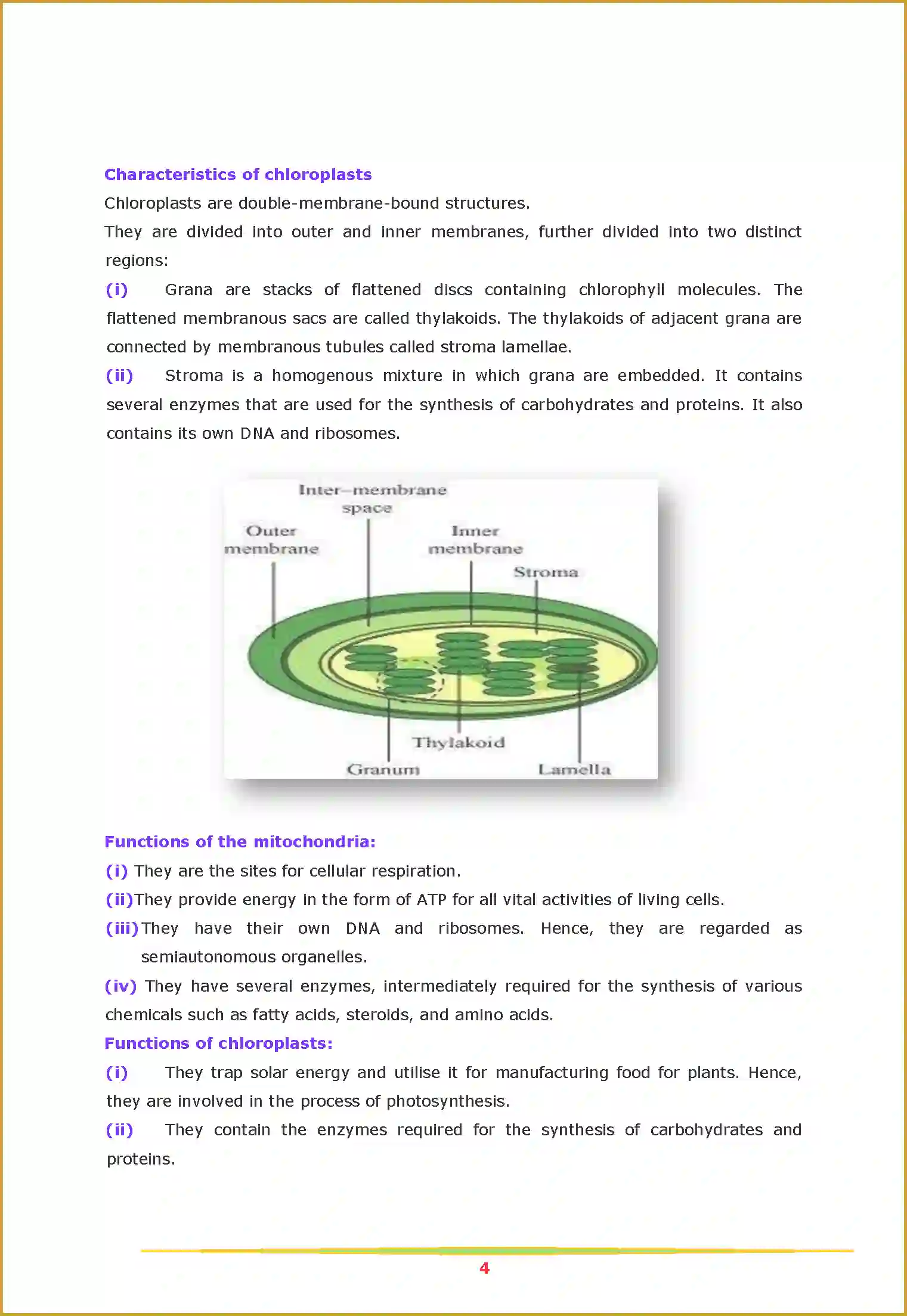 NCERT-Solution-Class-11-Biology-Chapter-8-Cell-The-Unit-of-Life-2618-page-4