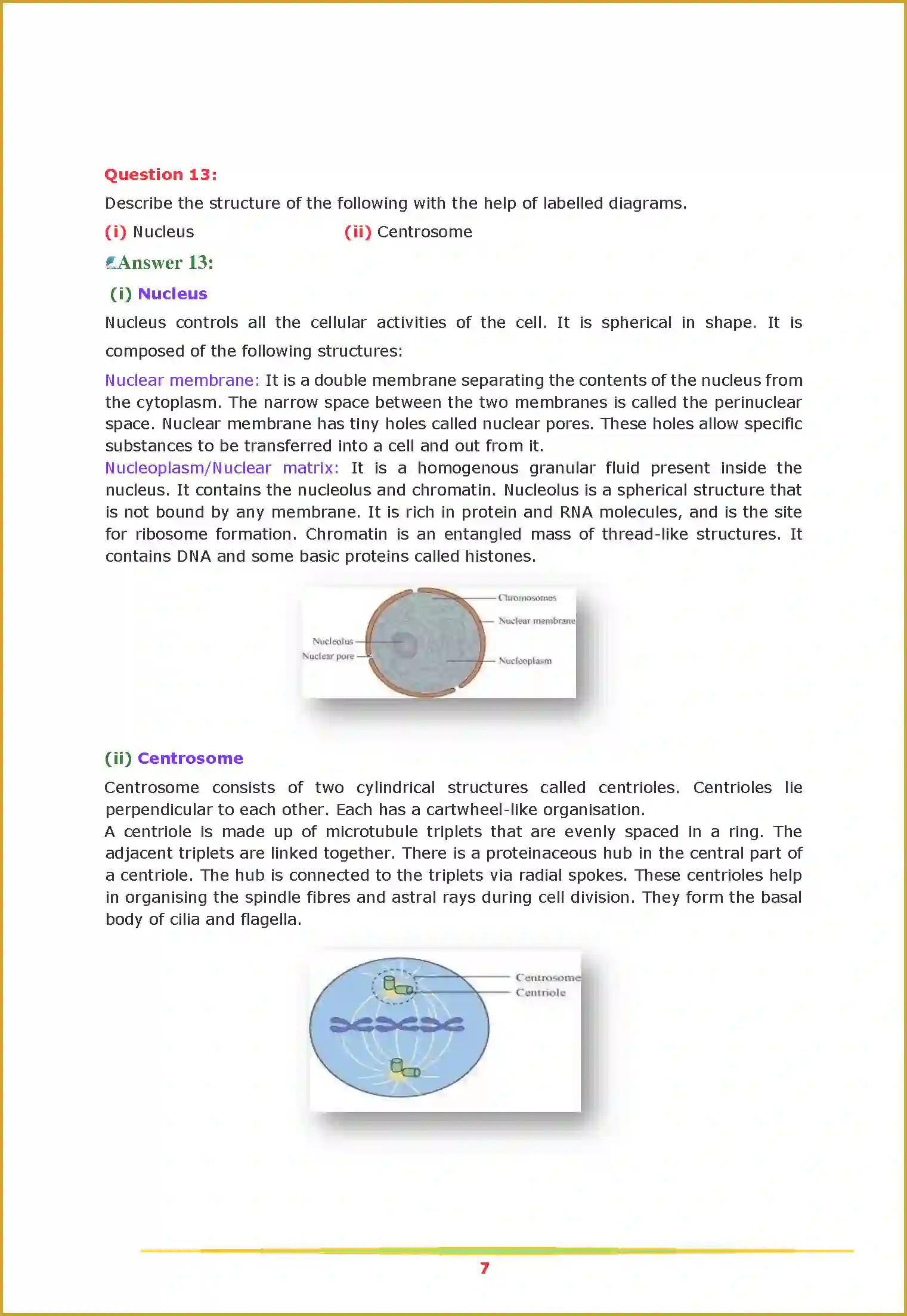 NCERT-Solution-Class-11-Biology-Chapter-8-Cell-The-Unit-of-Life-446-page-7
