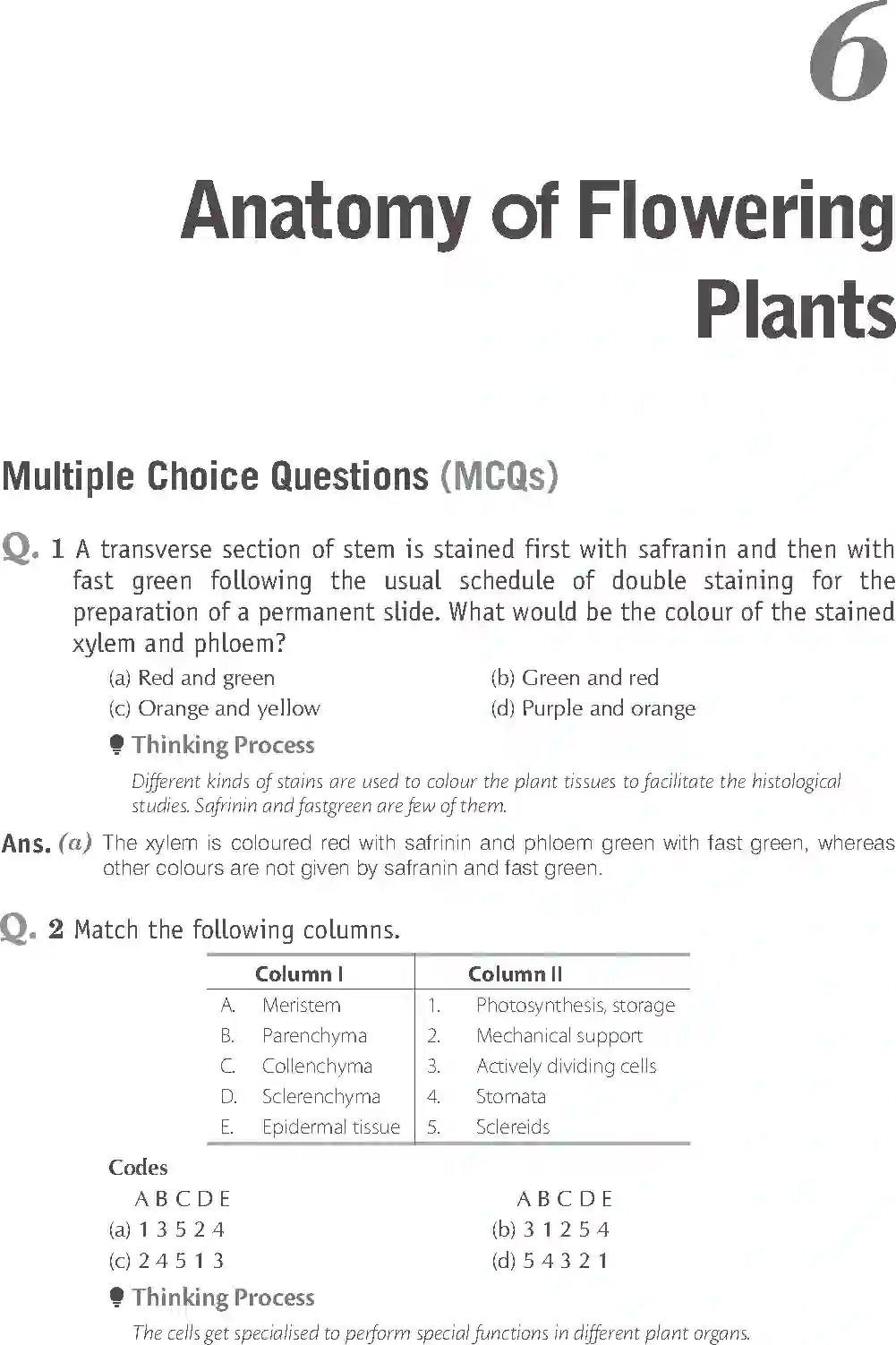 NCERT-Solution-Class-11-Biology-Exemplar-Anatomy-of-Flowering-Plants-751-page-1