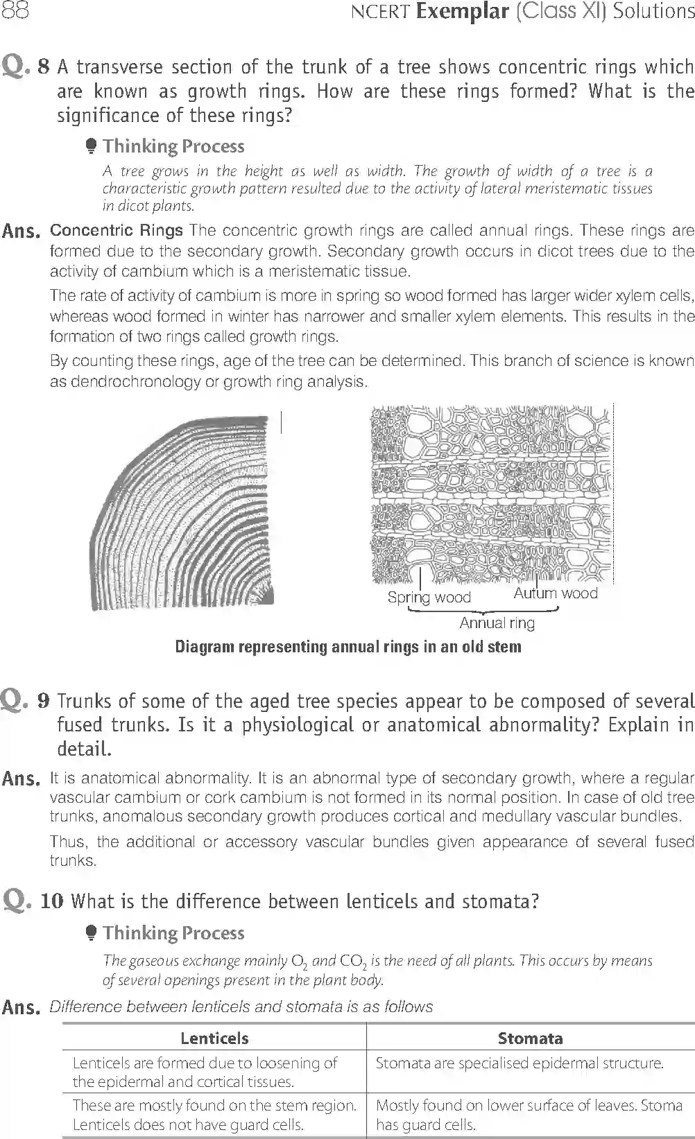 NCERT-Solution-Class-11-Biology-Exemplar-Anatomy-of-Flowering-Plants-751-page-12