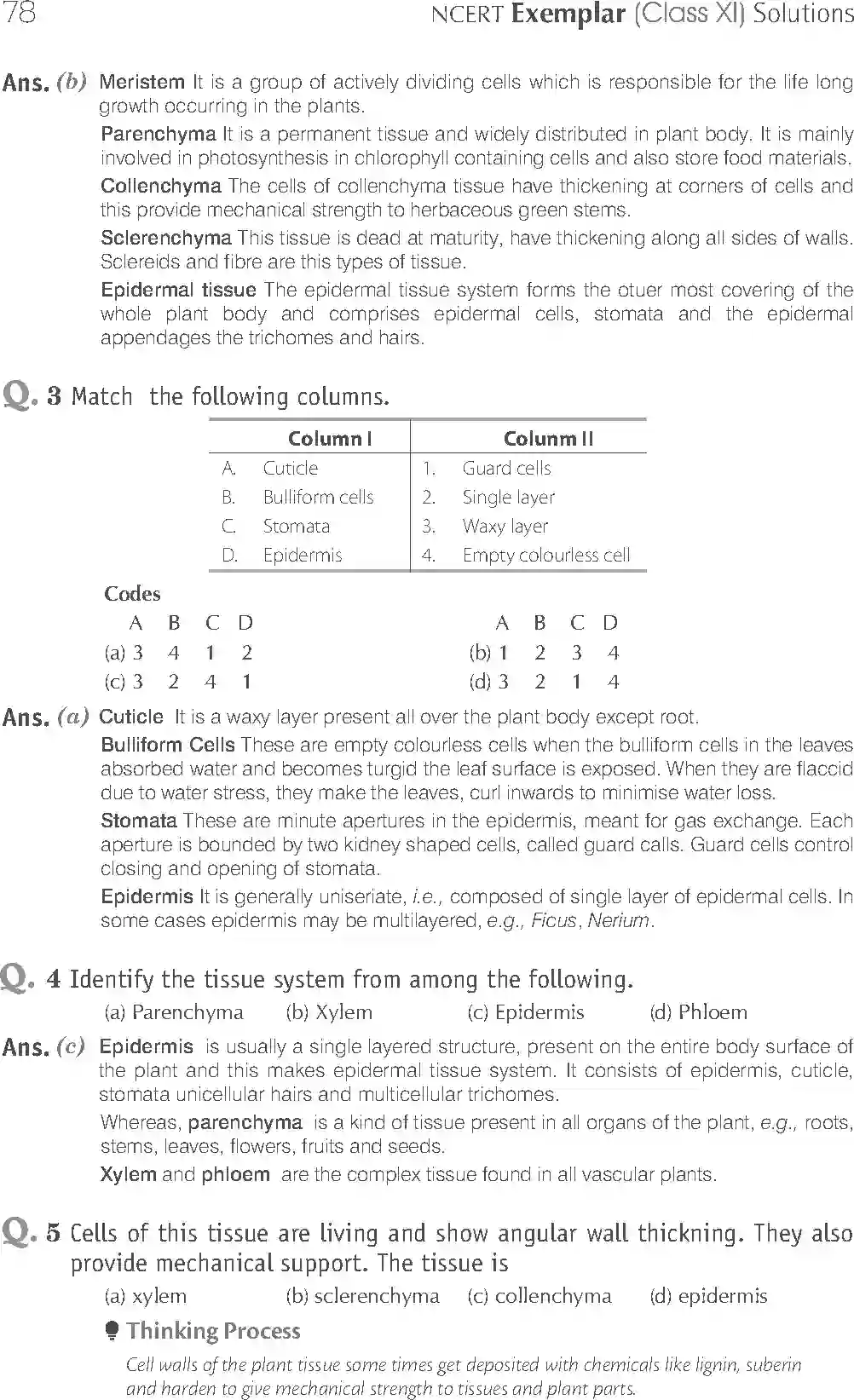 NCERT-Solution-Class-11-Biology-Exemplar-Anatomy-of-Flowering-Plants-751-page-2