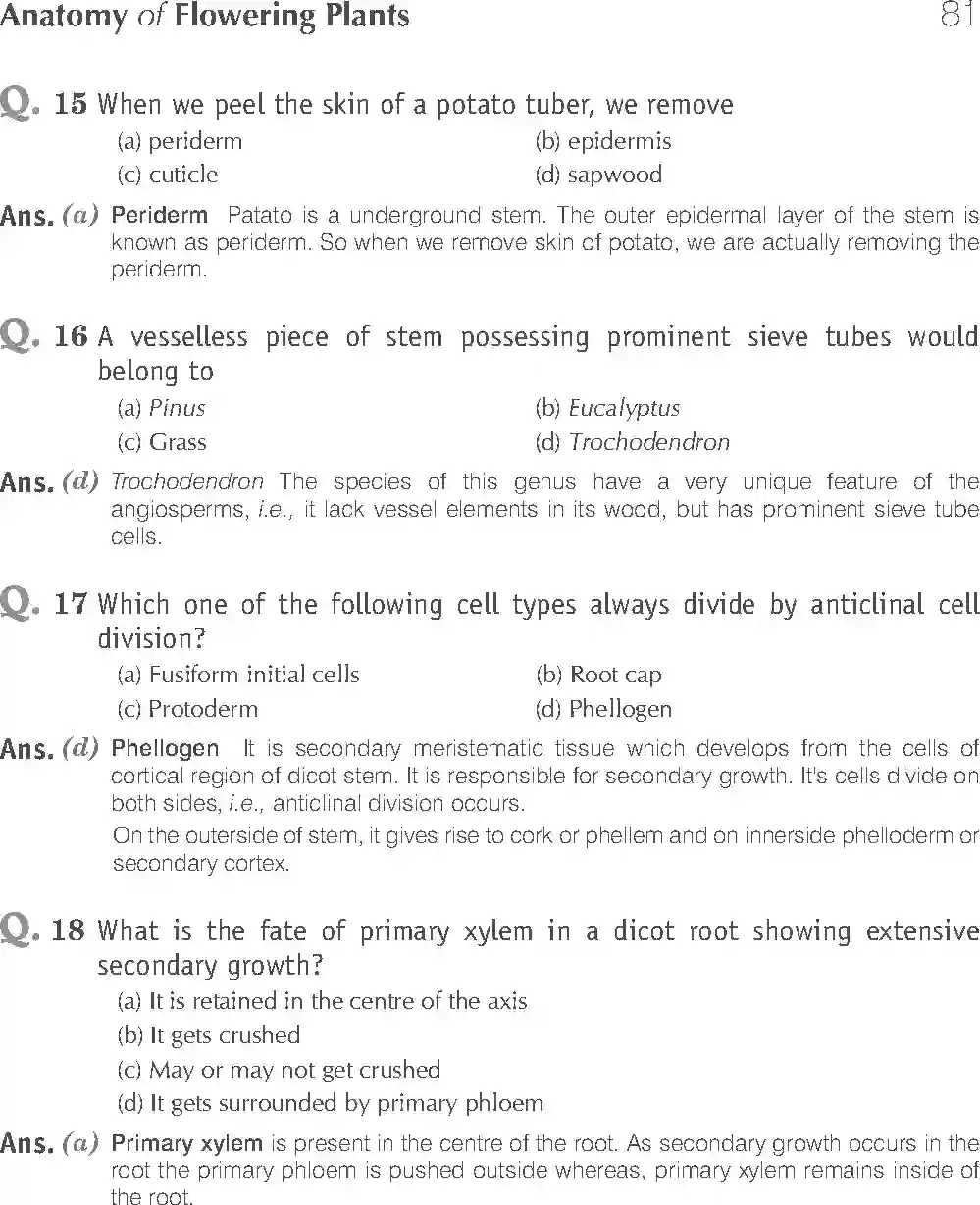 NCERT-Solution-Class-11-Biology-Exemplar-Anatomy-of-Flowering-Plants-751-page-5