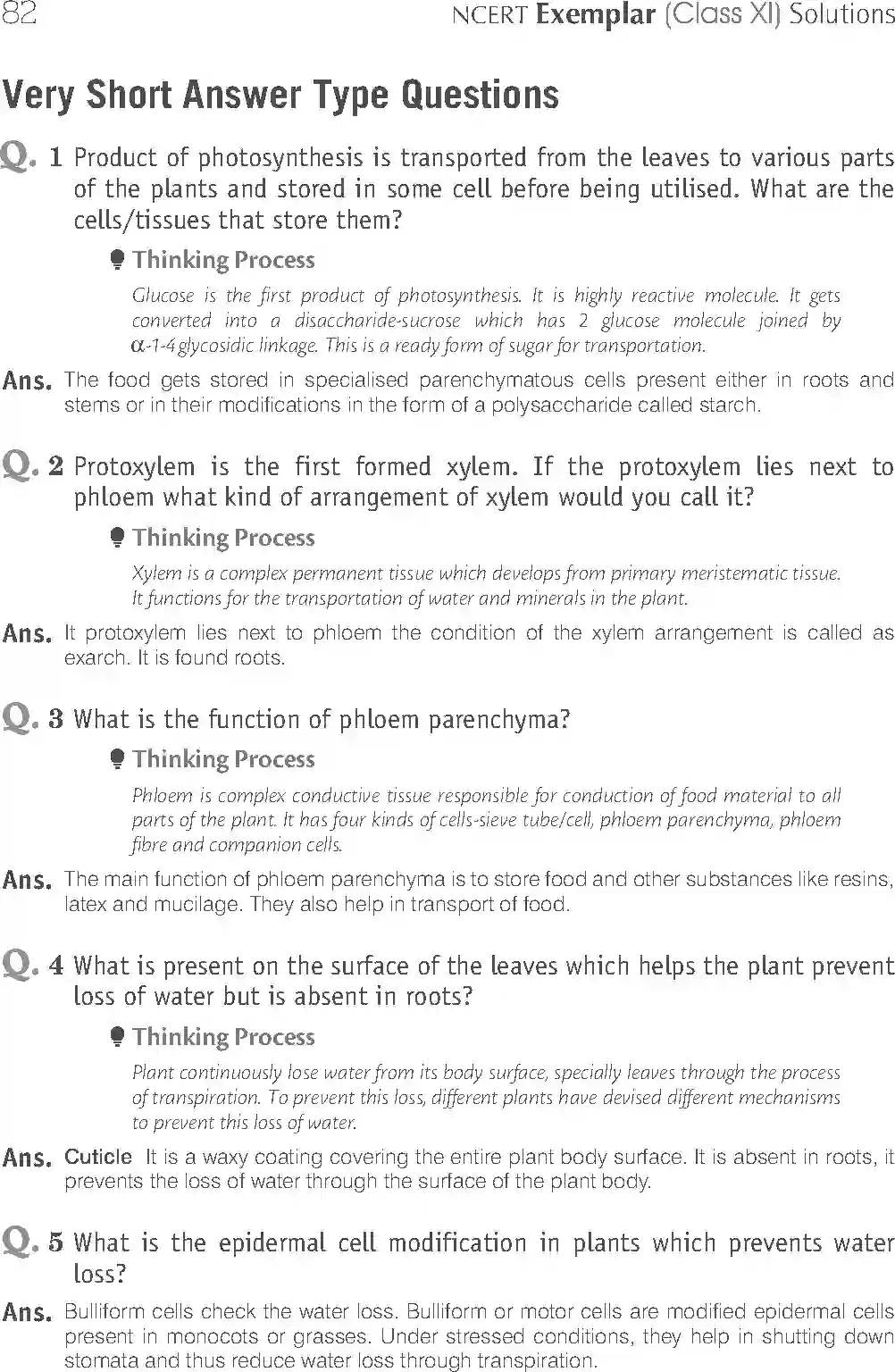 NCERT-Solution-Class-11-Biology-Exemplar-Anatomy-of-Flowering-Plants-751-page-6