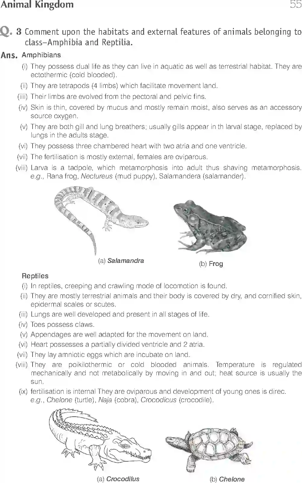 NCERT-Solution-Class-11-Biology-Exemplar-Animal-Kingdom-2921-page-18