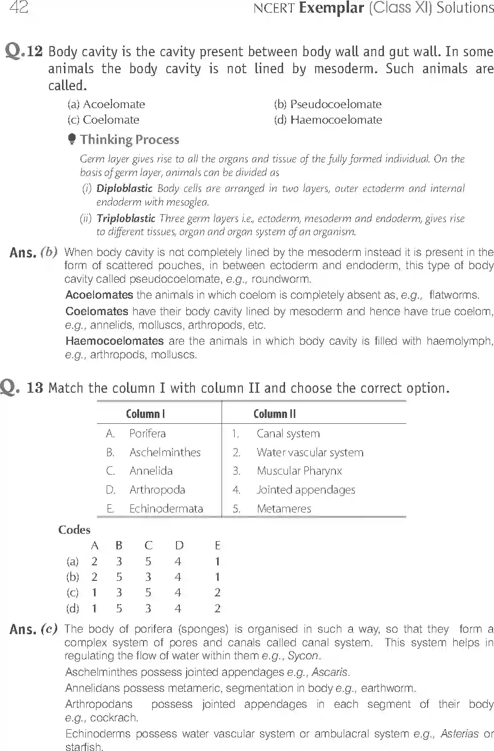 NCERT-Solution-Class-11-Biology-Exemplar-Animal-Kingdom-2921-page-5