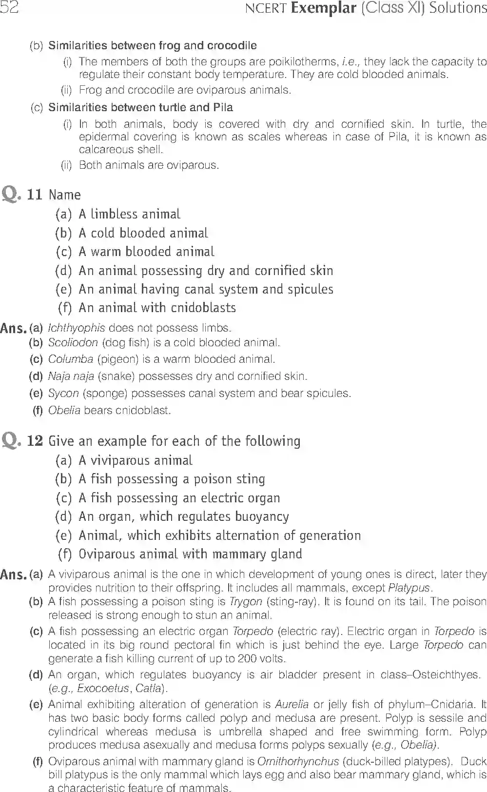 NCERT-Solution-Class-11-Biology-Exemplar-Animal-Kingdom-749-page-15