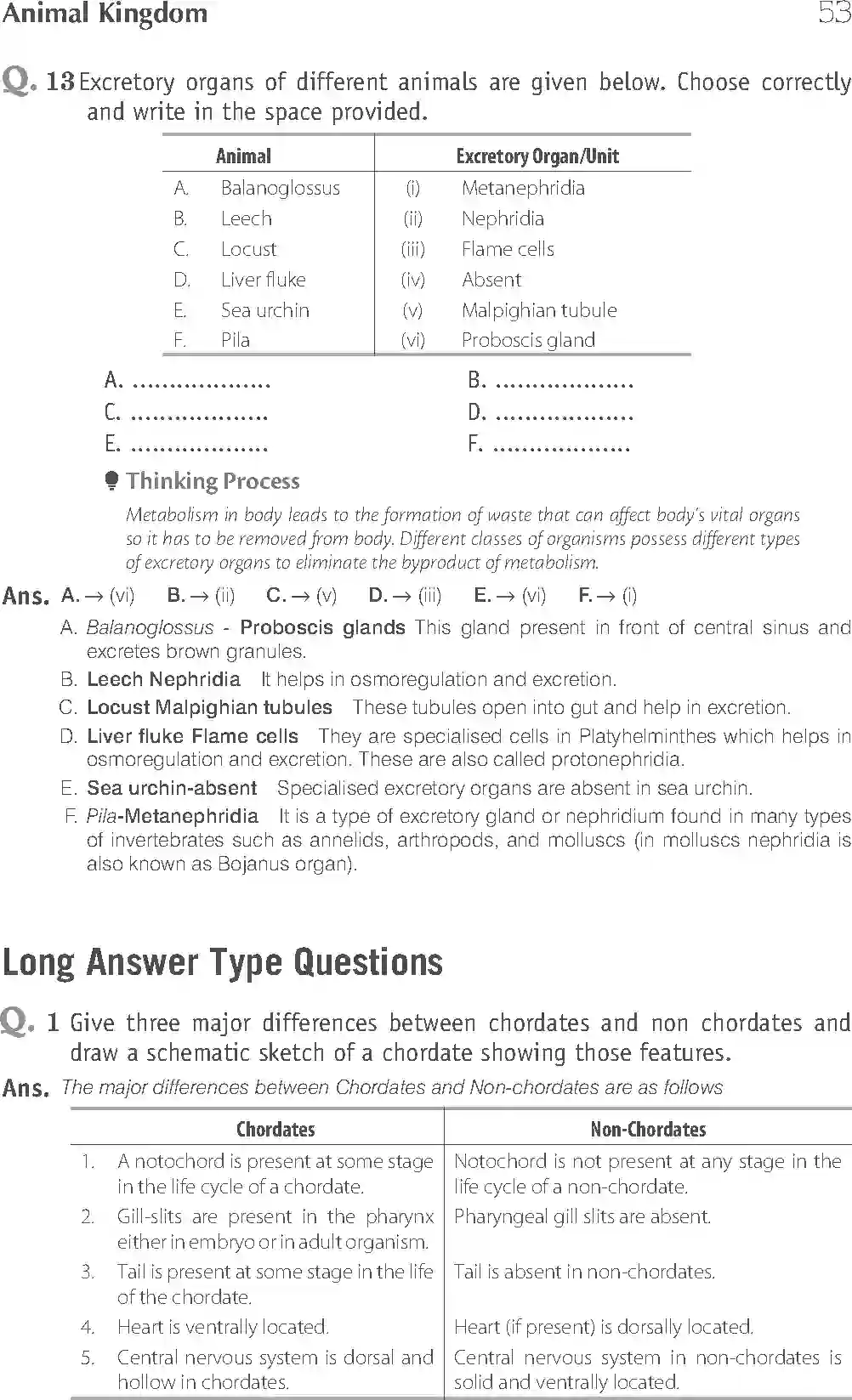 NCERT-Solution-Class-11-Biology-Exemplar-Animal-Kingdom-749-page-16