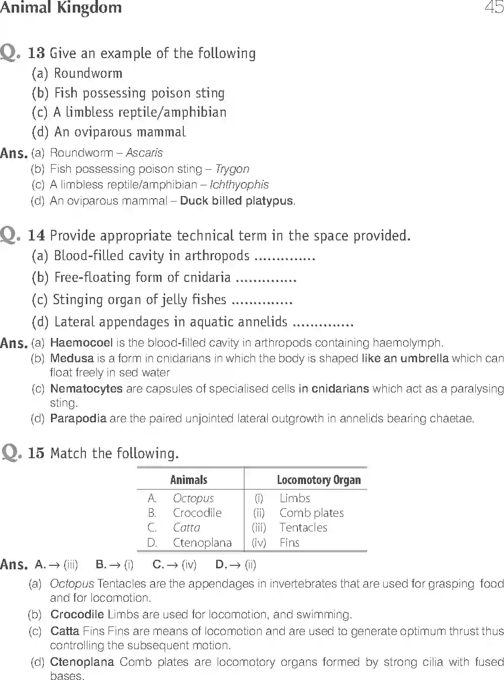 NCERT-Solution-Class-11-Biology-Exemplar-Animal-Kingdom-749-page-8
