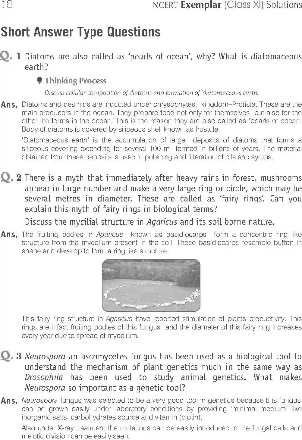 NCERT-Solution-Class-11-Biology-Exemplar-Biological-Classification-2919-page-6