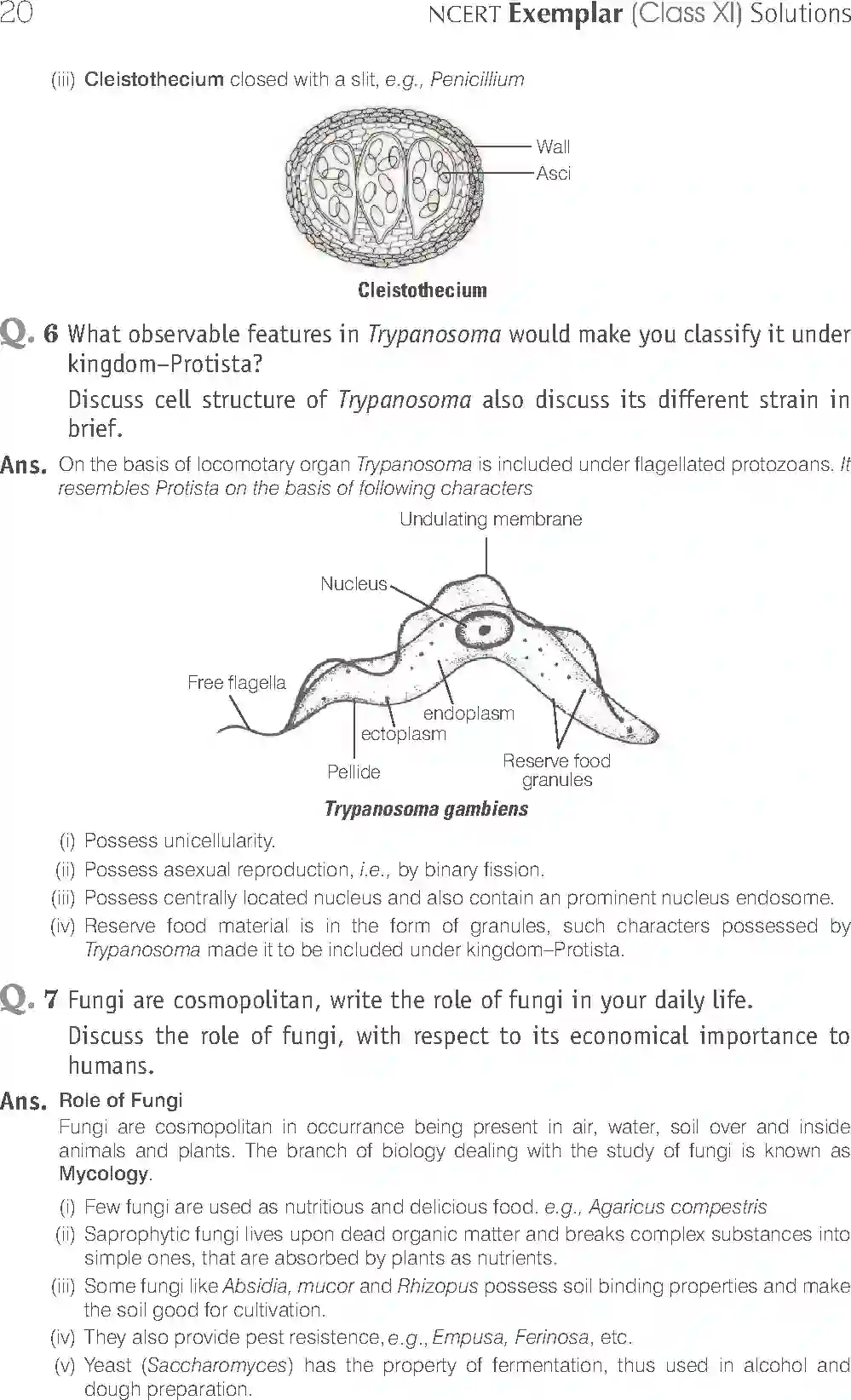 NCERT-Solution-Class-11-Biology-Exemplar-Biological-Classification-747-page-8