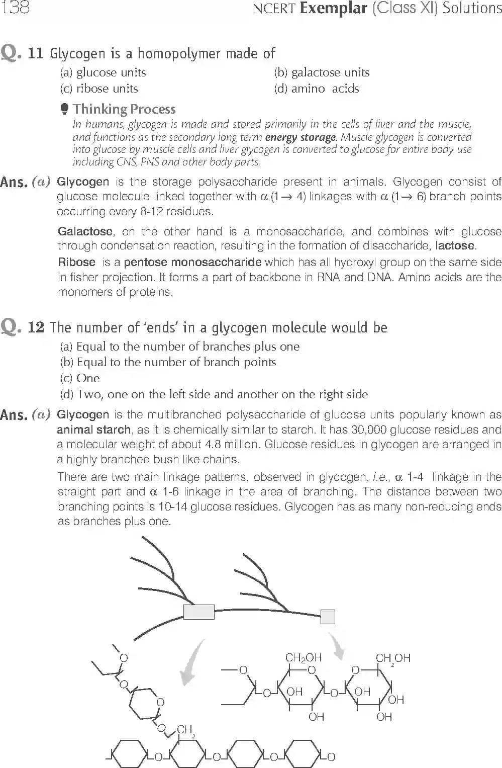 NCERT-Solution-Class-11-Biology-Exemplar-Biomolecules-2926-page-5