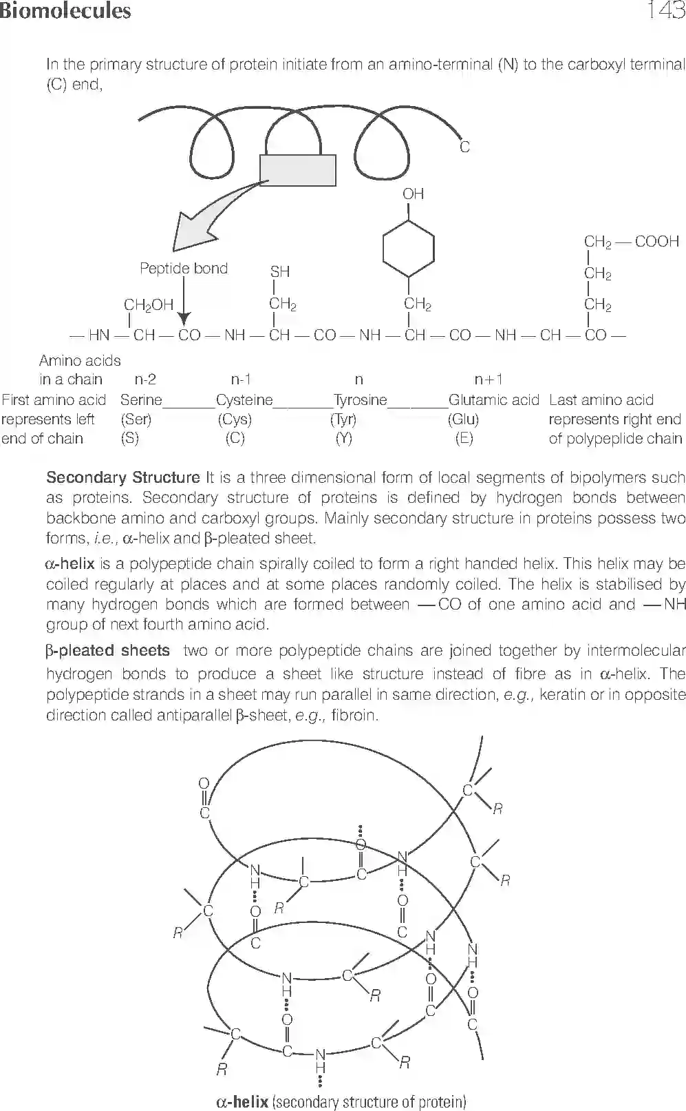 NCERT-Solution-Class-11-Biology-Exemplar-Biomolecules-754-page-10