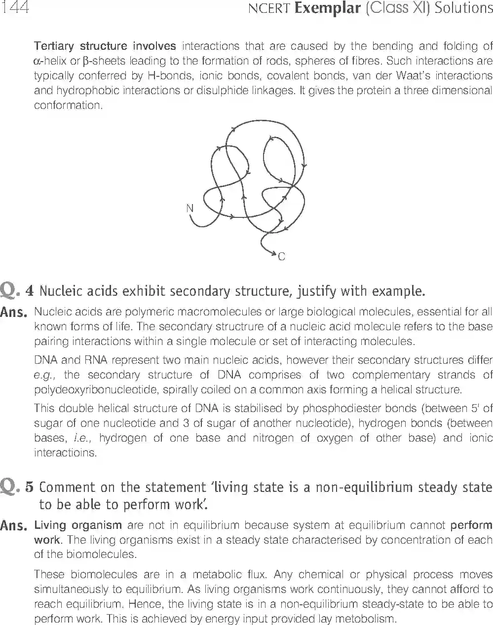 NCERT-Solution-Class-11-Biology-Exemplar-Biomolecules-754-page-11
