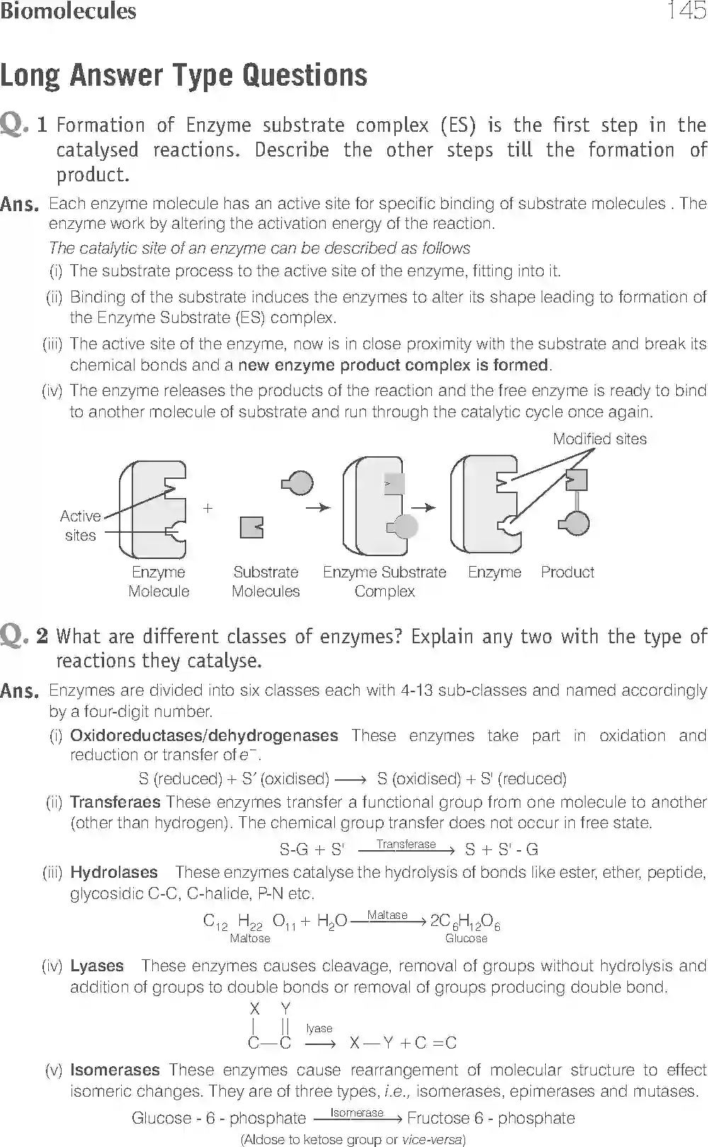 NCERT-Solution-Class-11-Biology-Exemplar-Biomolecules-754-page-12