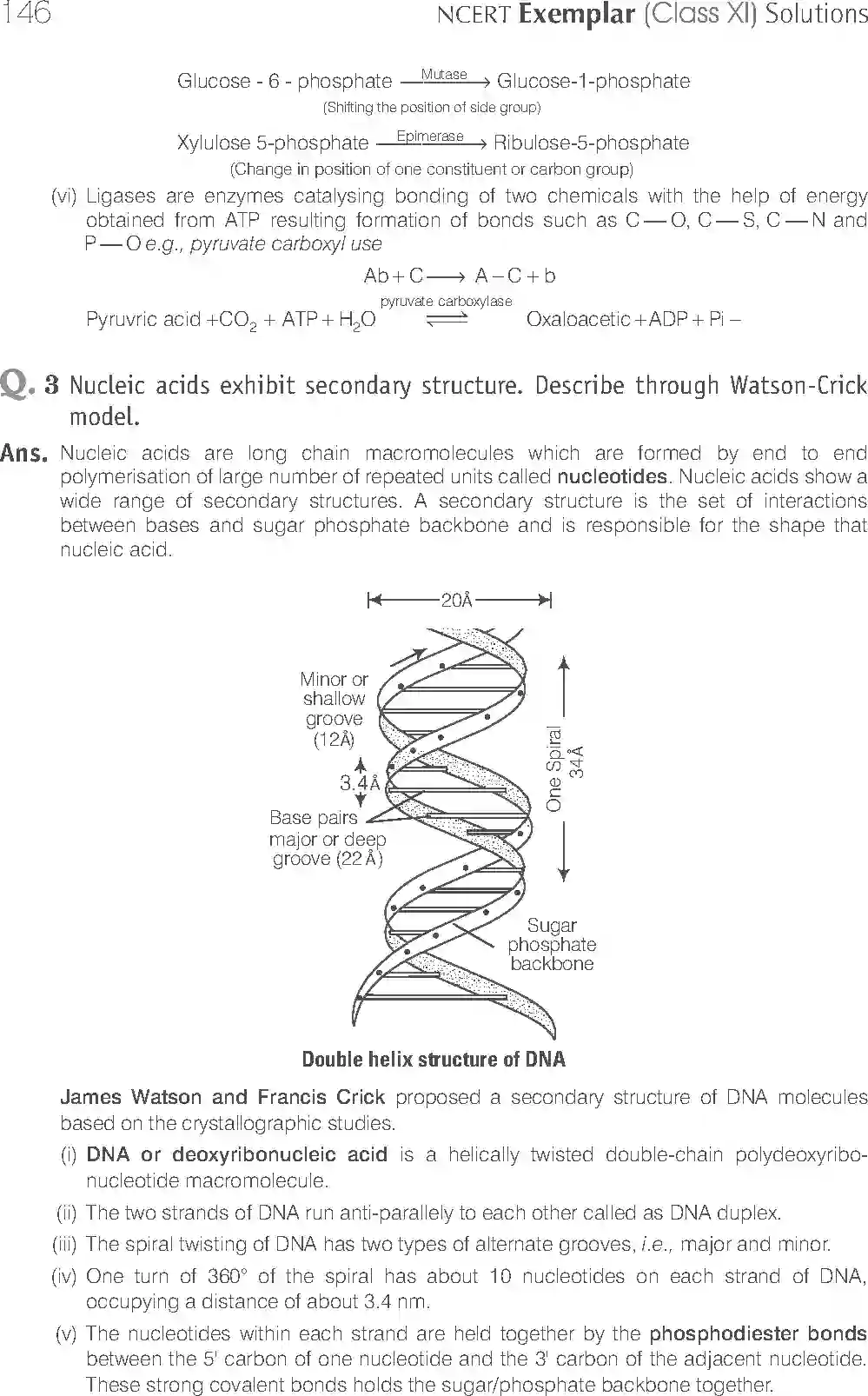 NCERT-Solution-Class-11-Biology-Exemplar-Biomolecules-754-page-13