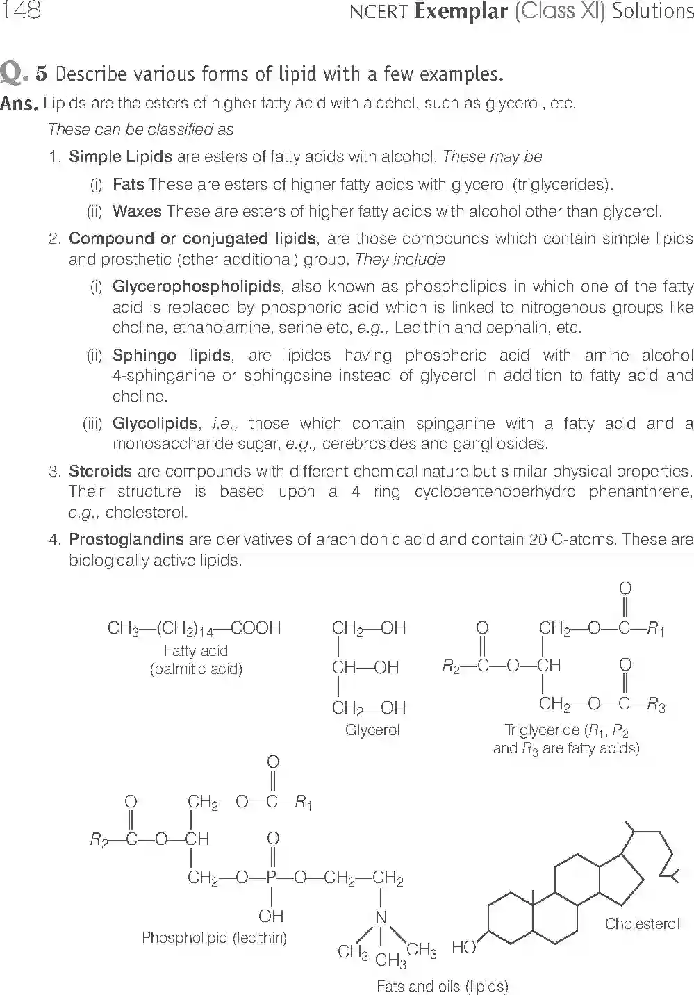 NCERT-Solution-Class-11-Biology-Exemplar-Biomolecules-754-page-15