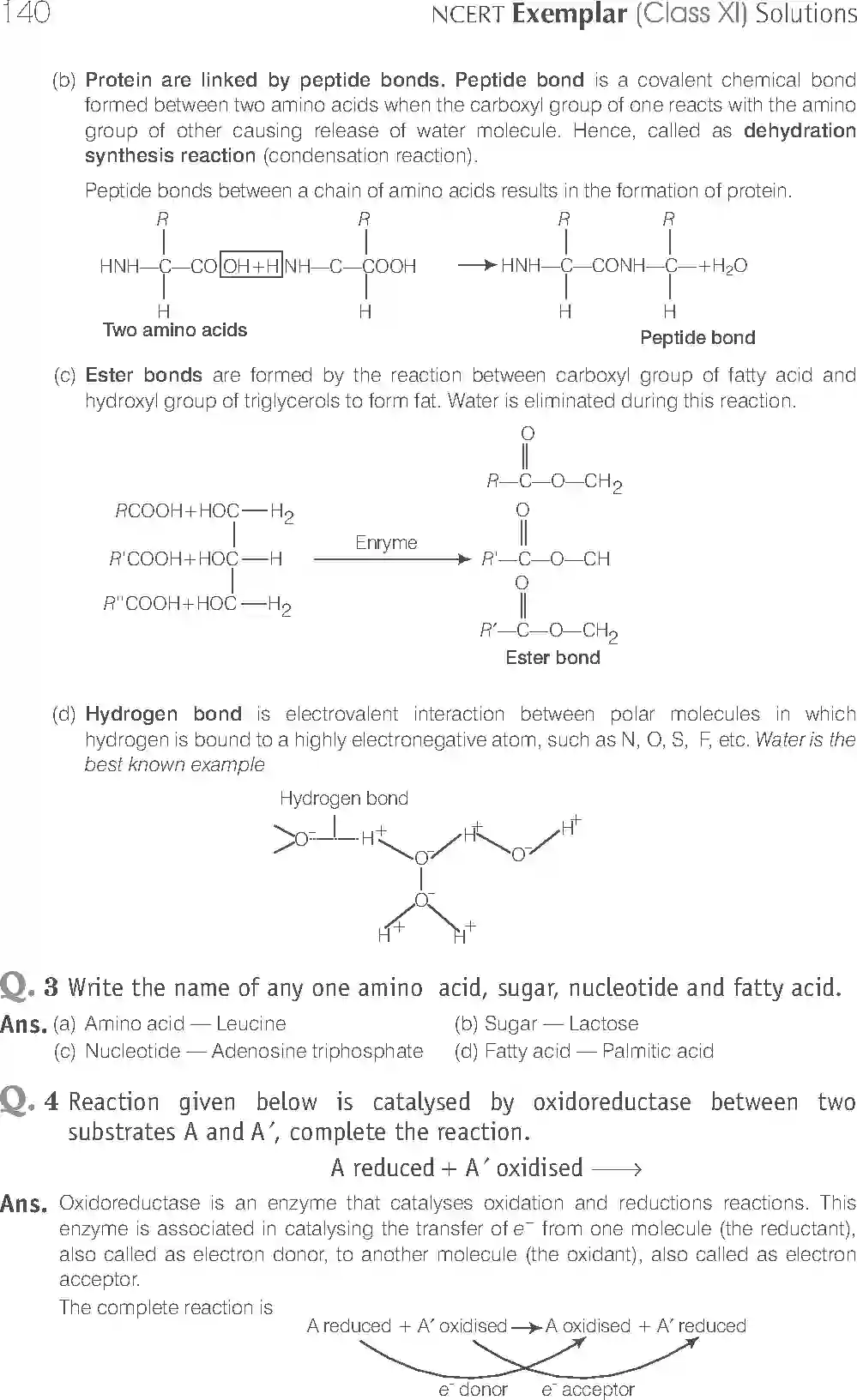 NCERT-Solution-Class-11-Biology-Exemplar-Biomolecules-754-page-7