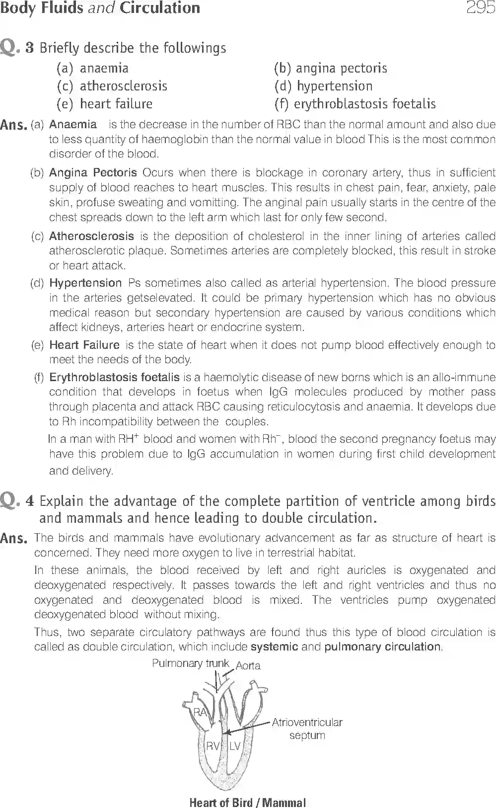 NCERT-Solution-Class-11-Biology-Exemplar-Body-Fluids-And-Circulation-2935-page-12