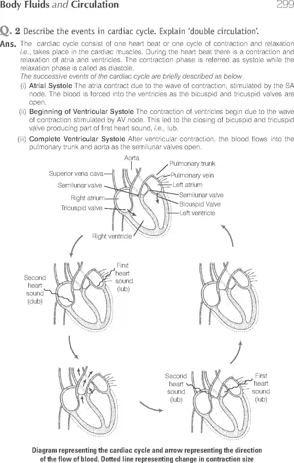 NCERT-Solution-Class-11-Biology-Exemplar-Body-Fluids-And-Circulation-2935-page-16