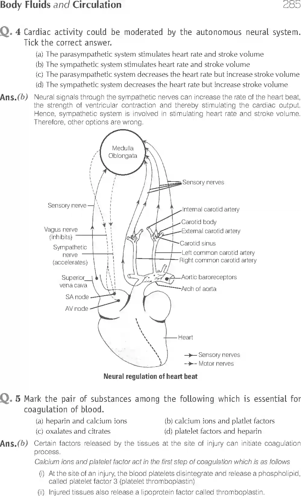 NCERT-Solution-Class-11-Biology-Exemplar-Body-Fluids-And-Circulation-2935-page-2