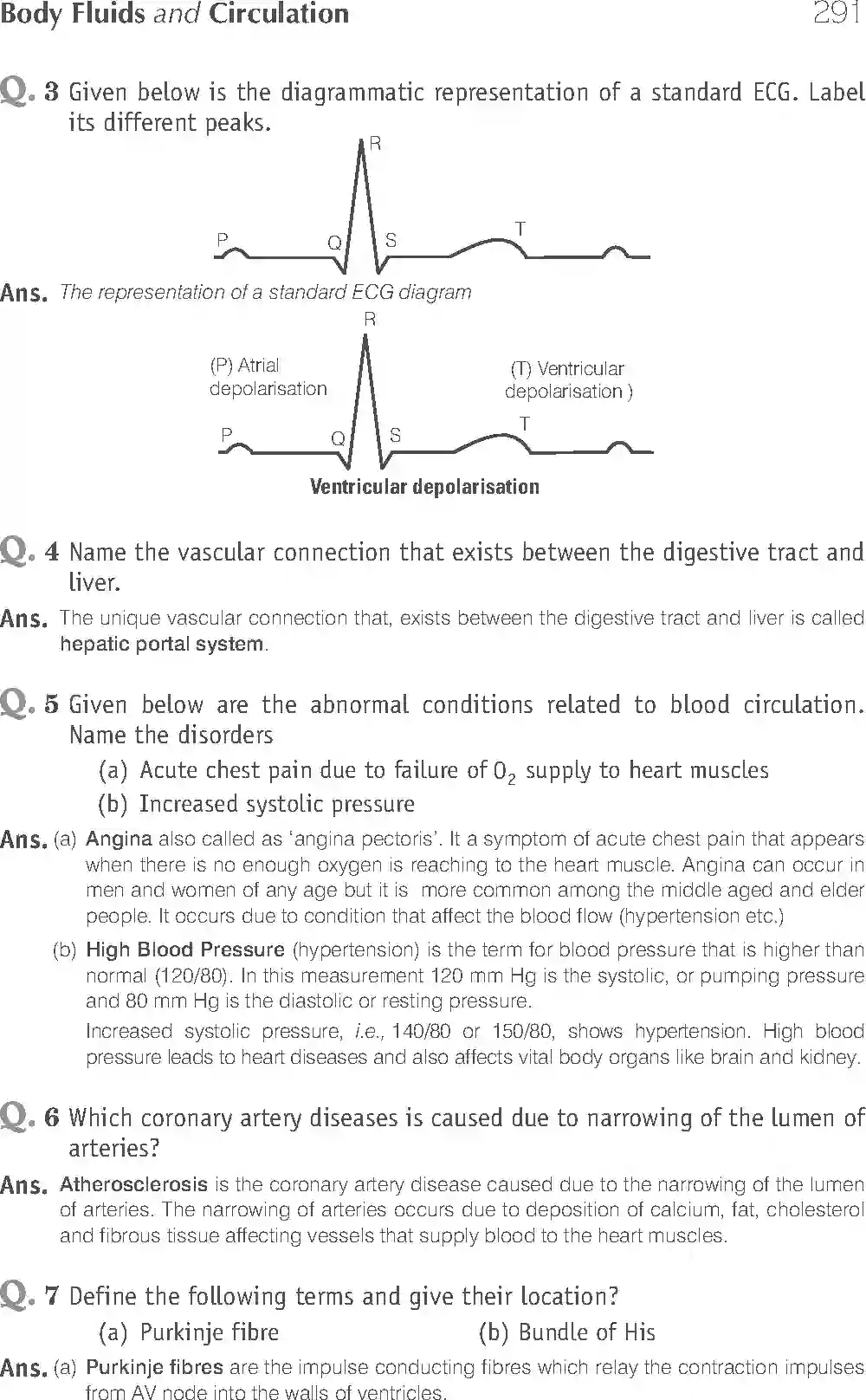 NCERT-Solution-Class-11-Biology-Exemplar-Body-Fluids-And-Circulation-2935-page-8