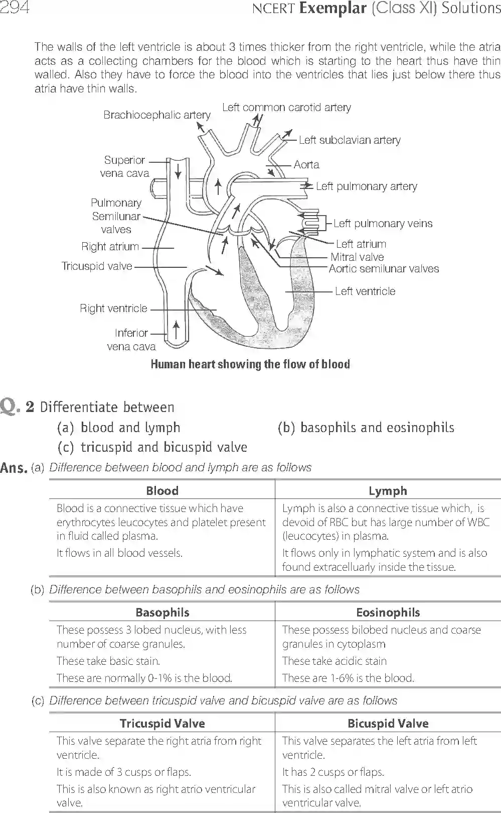 NCERT-Solution-Class-11-Biology-Exemplar-Body-Fluids-And-Circulation-763-page-11