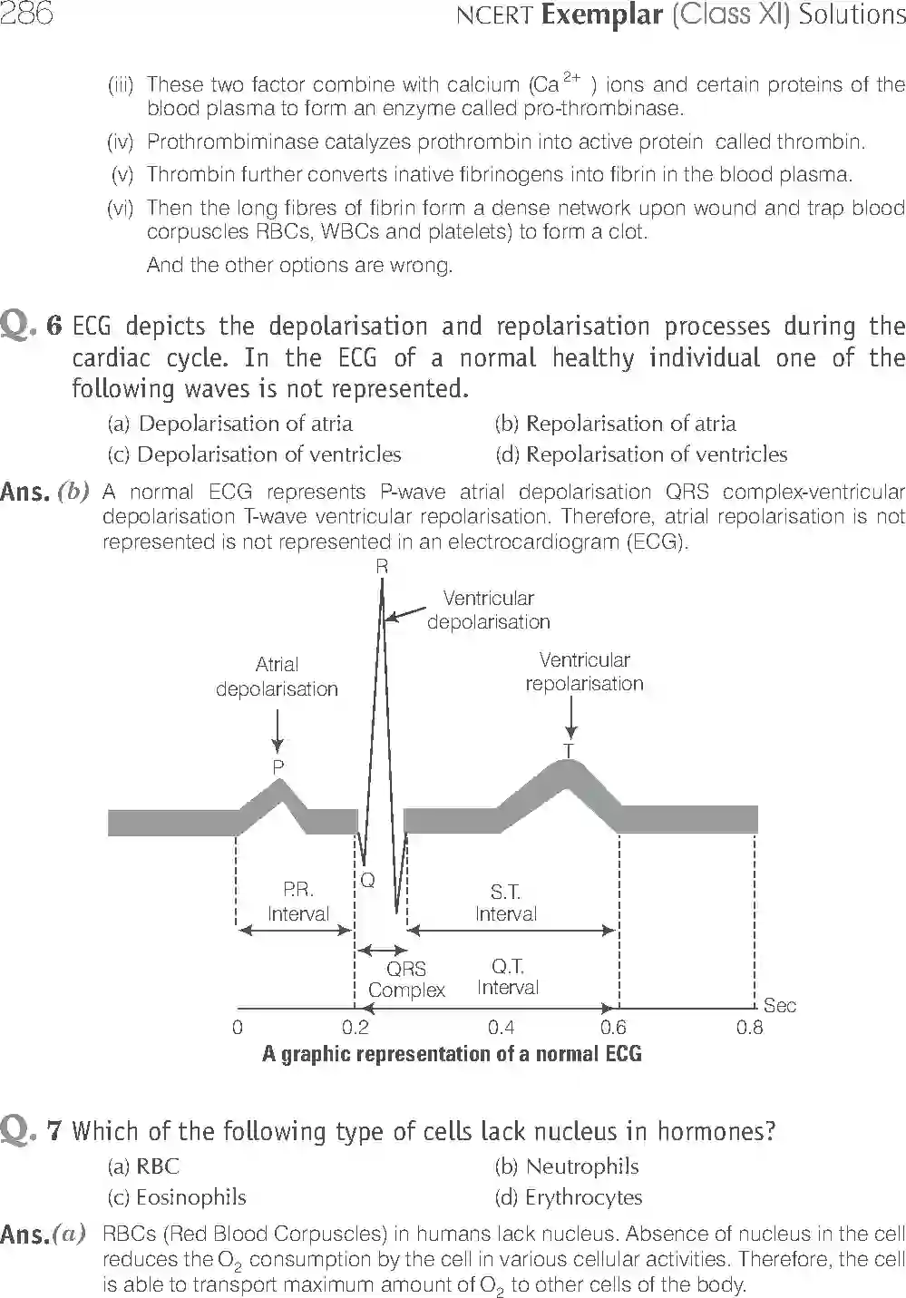 NCERT-Solution-Class-11-Biology-Exemplar-Body-Fluids-And-Circulation-763-page-3