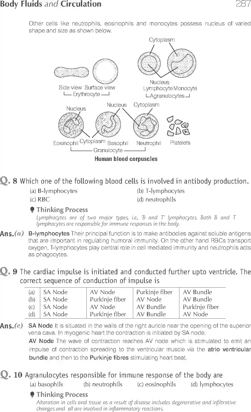 NCERT-Solution-Class-11-Biology-Exemplar-Body-Fluids-And-Circulation-763-page-4