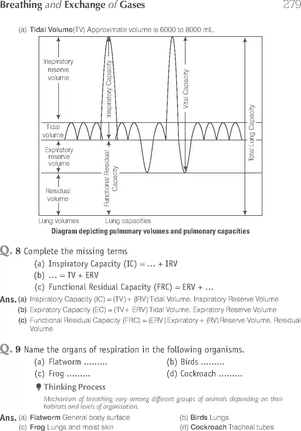 NCERT-Solution-Class-11-Biology-Exemplar-Breathing-And-Exchange-of-Gases-2934-page-10