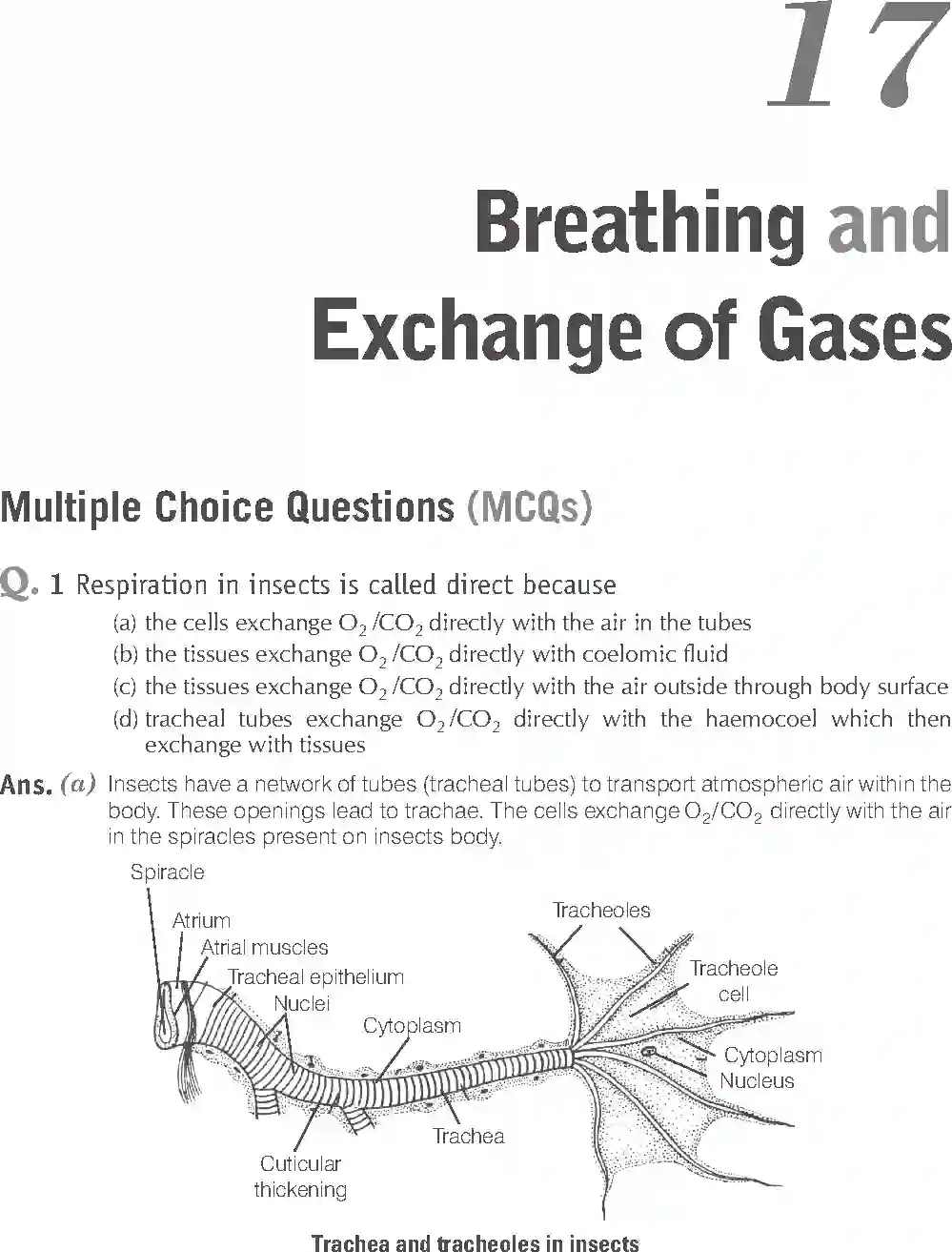 NCERT-Solution-Class-11-Biology-Exemplar-Breathing-And-Exchange-of-Gases-762-page-1