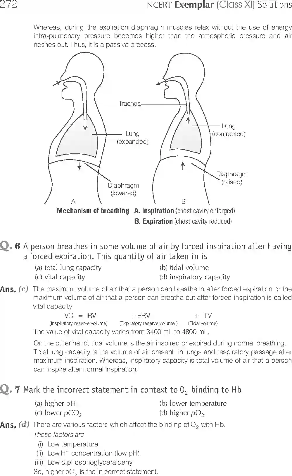 NCERT-Solution-Class-11-Biology-Exemplar-Breathing-And-Exchange-of-Gases-762-page-3