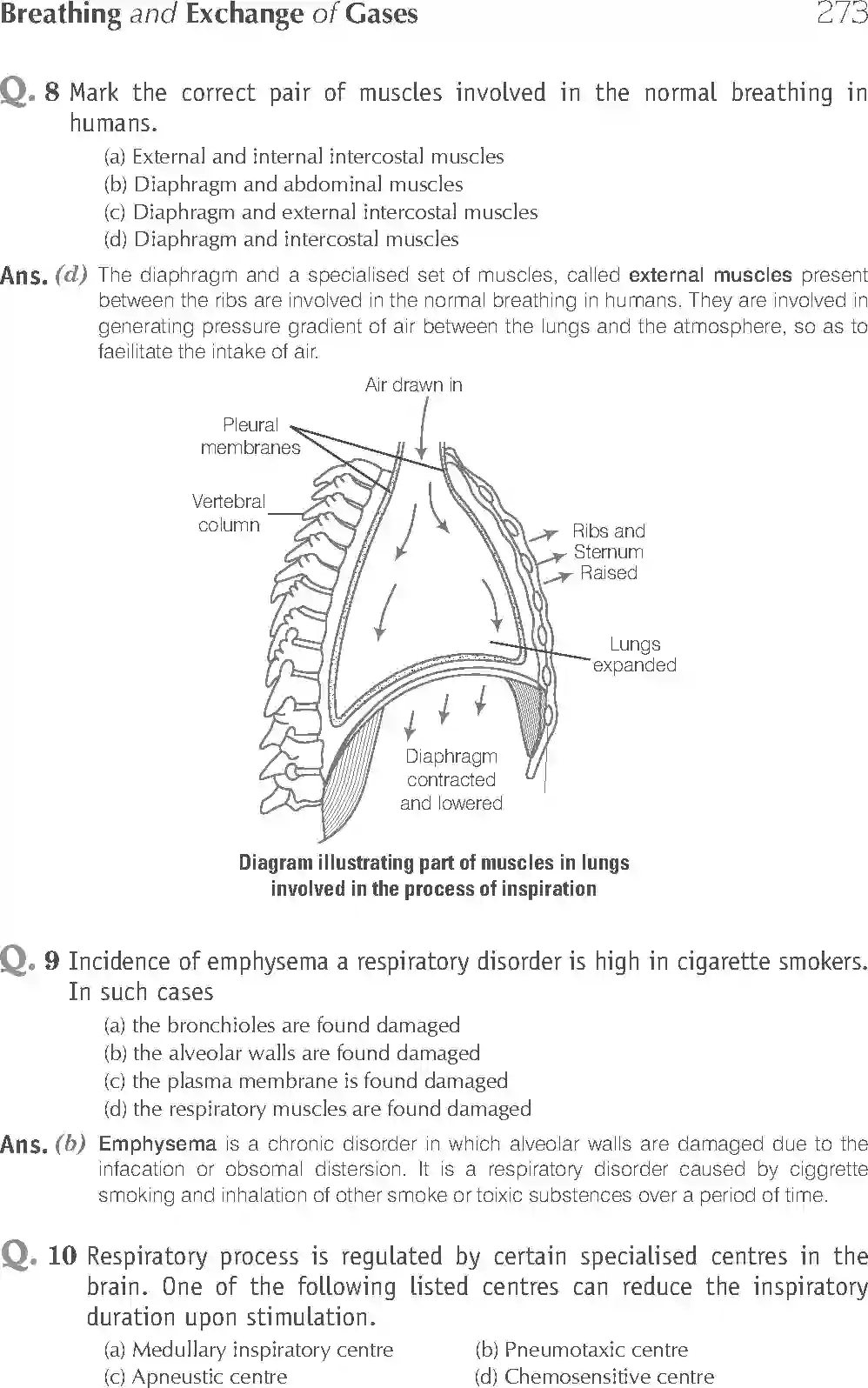 NCERT-Solution-Class-11-Biology-Exemplar-Breathing-And-Exchange-of-Gases-762-page-4