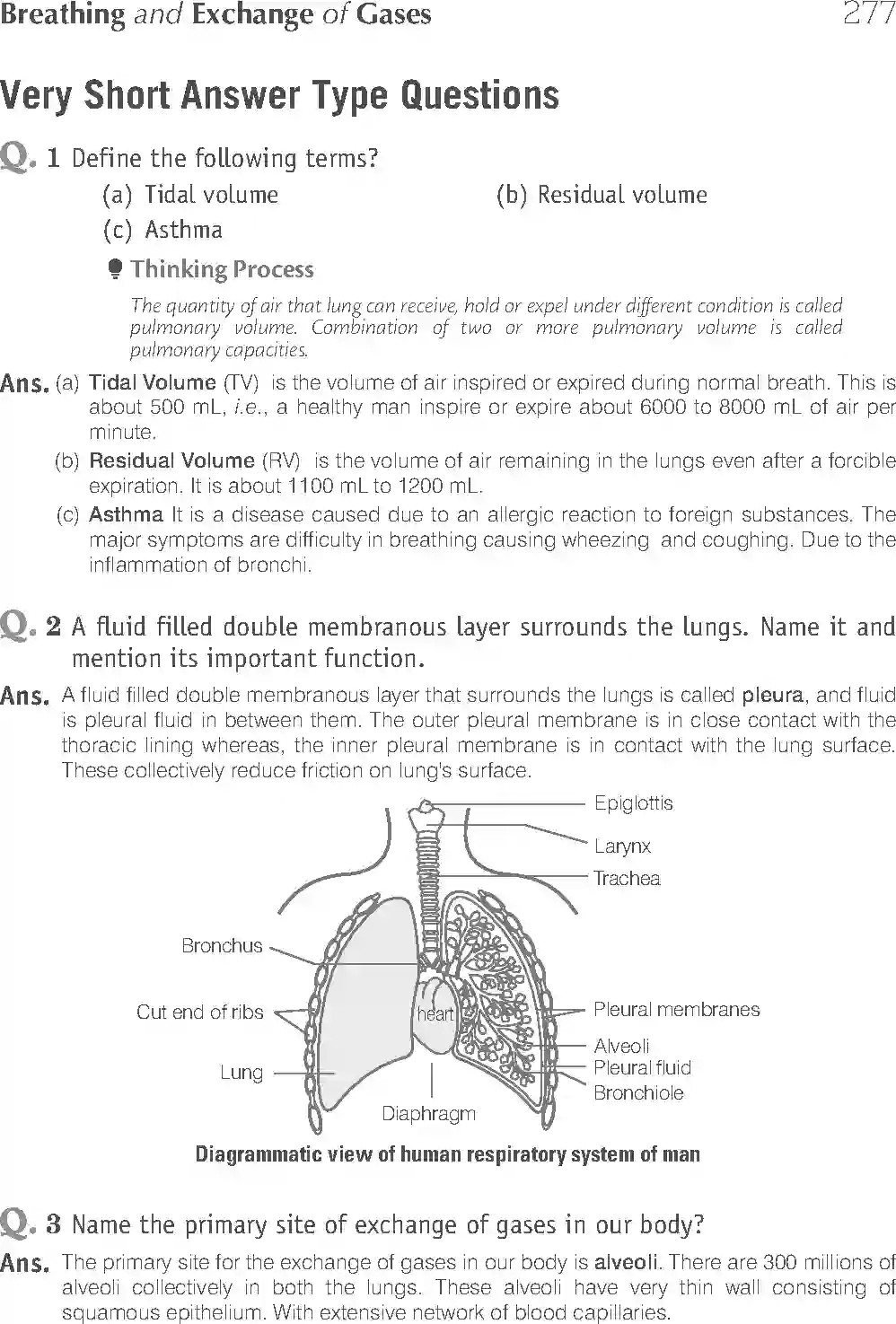 NCERT-Solution-Class-11-Biology-Exemplar-Breathing-And-Exchange-of-Gases-762-page-8