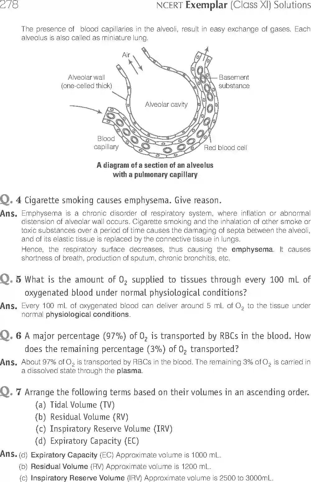NCERT-Solution-Class-11-Biology-Exemplar-Breathing-And-Exchange-of-Gases-762-page-9