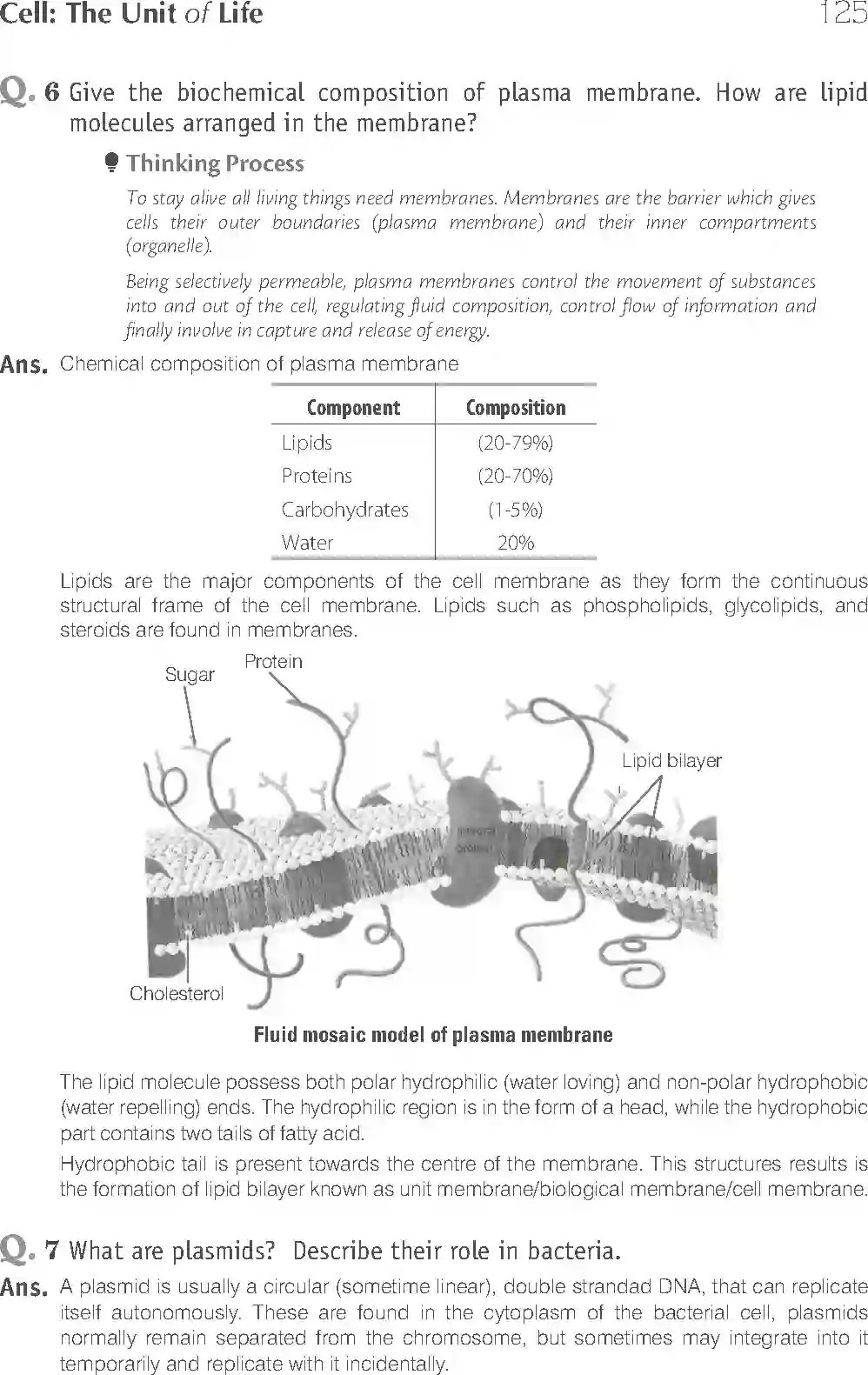 NCERT-Solution-Class-11-Biology-Exemplar-Cell--The-Unit-of-Life-753-page-10