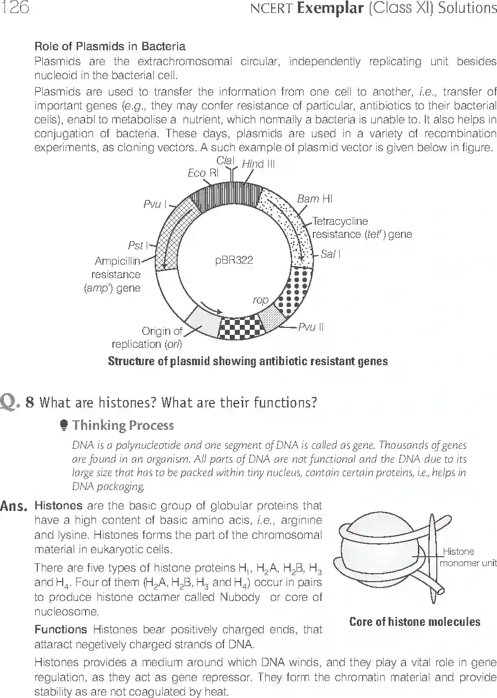 NCERT-Solution-Class-11-Biology-Exemplar-Cell--The-Unit-of-Life-753-page-11