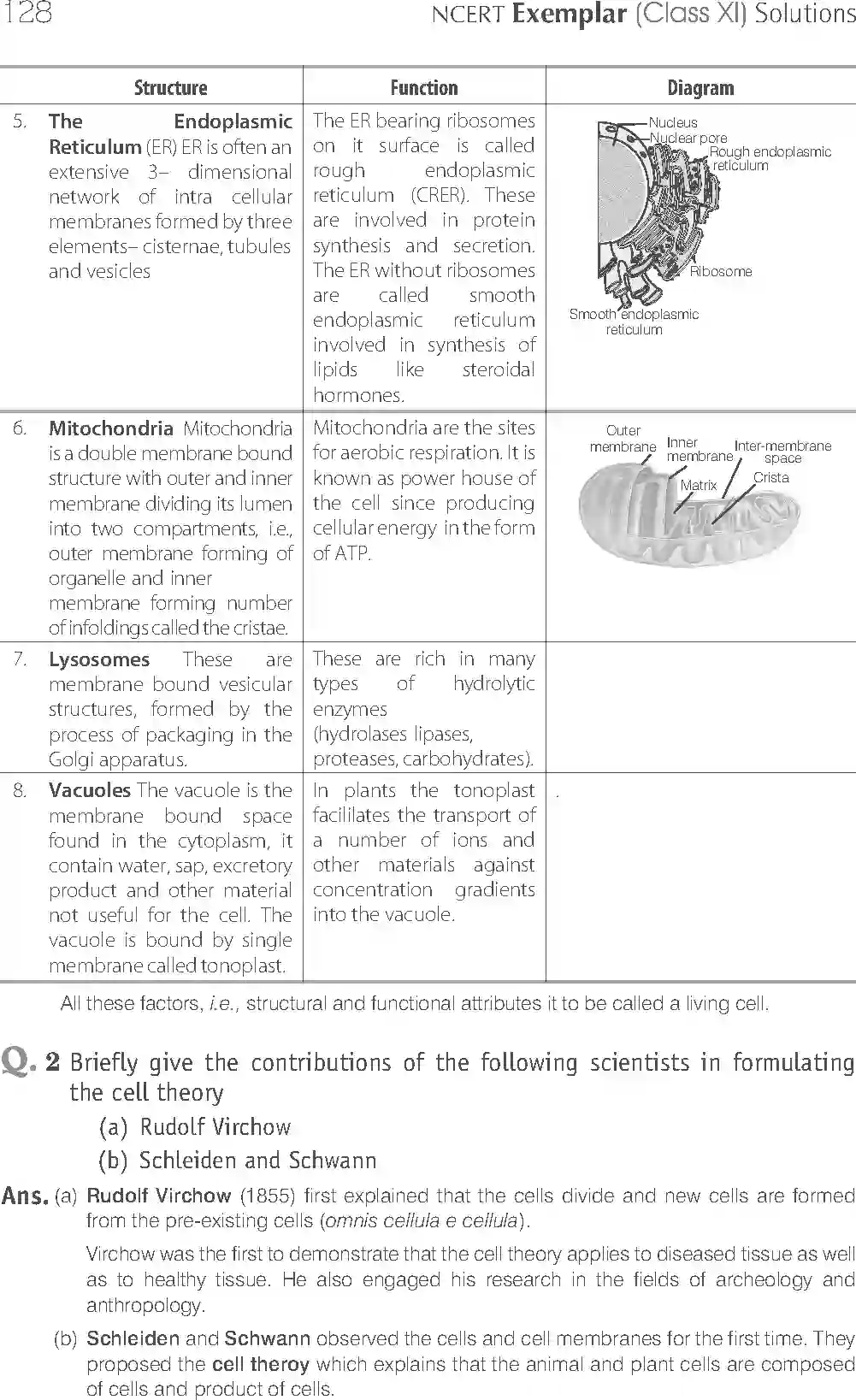 NCERT-Solution-Class-11-Biology-Exemplar-Cell--The-Unit-of-Life-753-page-13