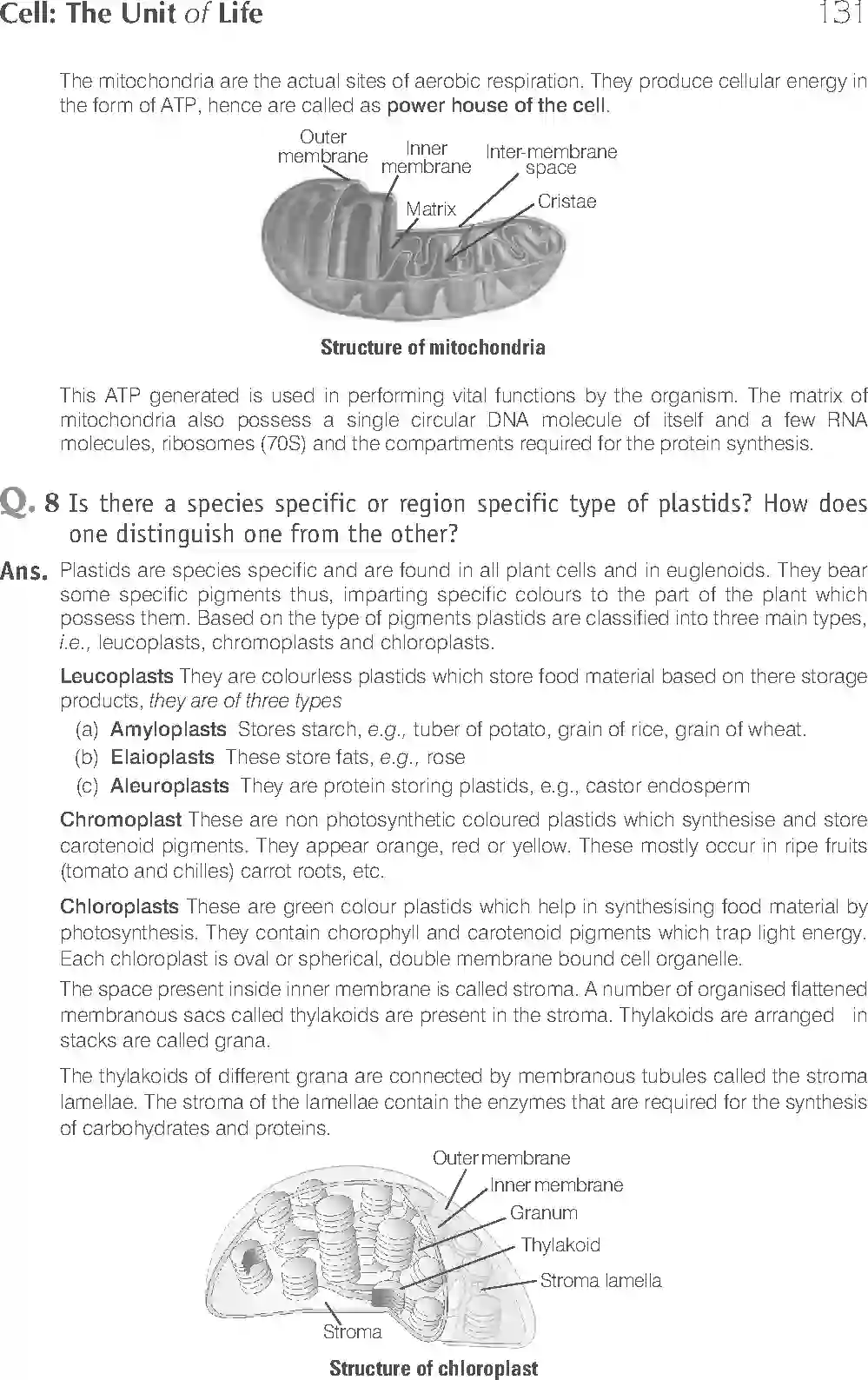NCERT-Solution-Class-11-Biology-Exemplar-Cell--The-Unit-of-Life-753-page-16