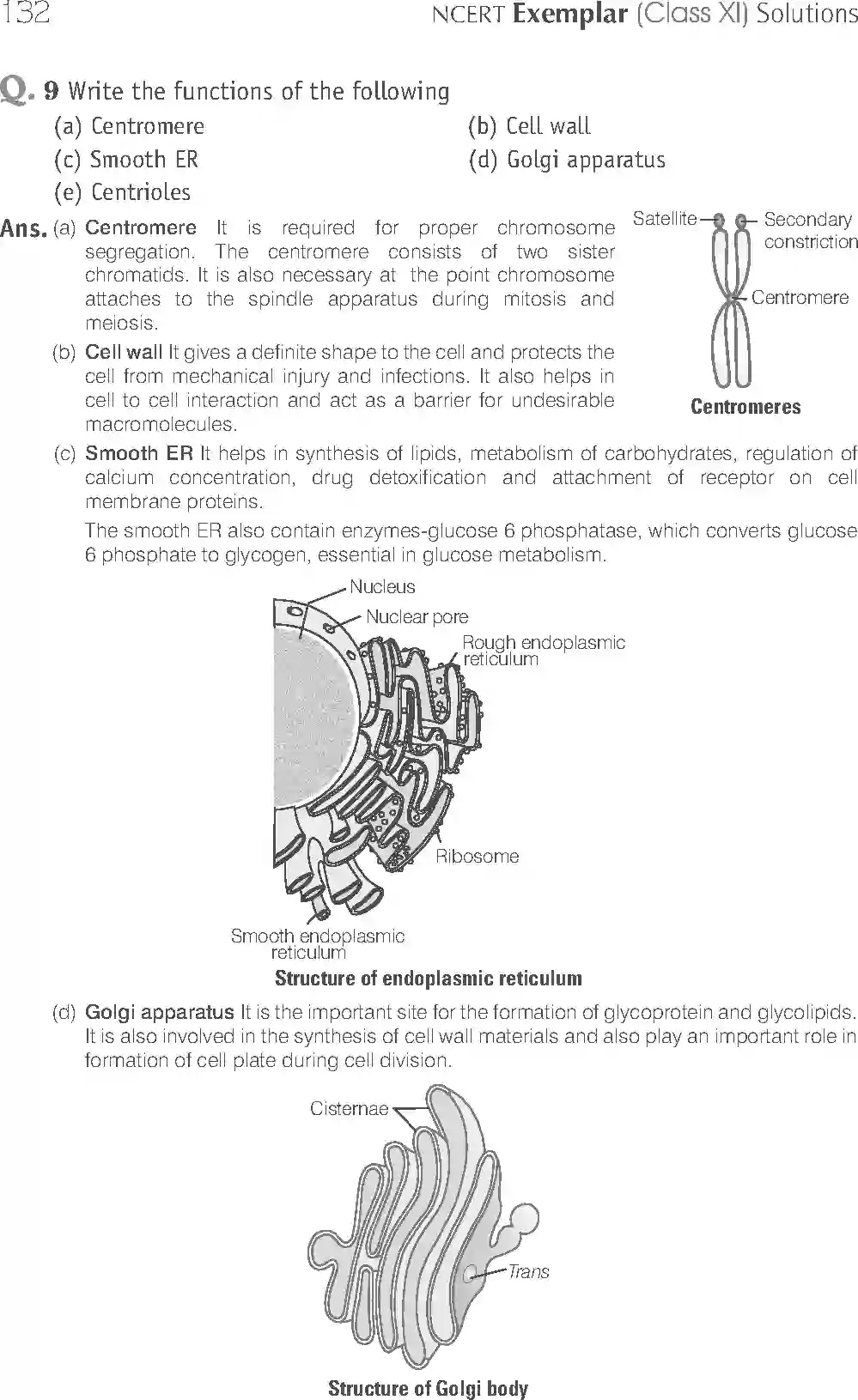 NCERT-Solution-Class-11-Biology-Exemplar-Cell--The-Unit-of-Life-753-page-17