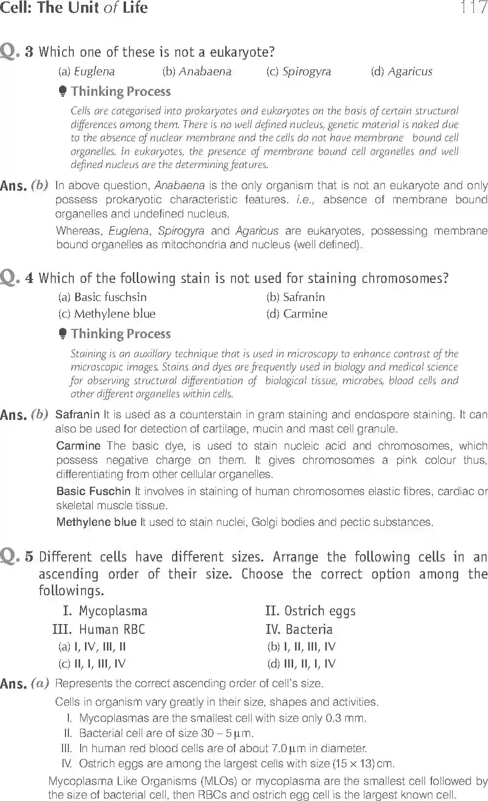 NCERT-Solution-Class-11-Biology-Exemplar-Cell--The-Unit-of-Life-753-page-2