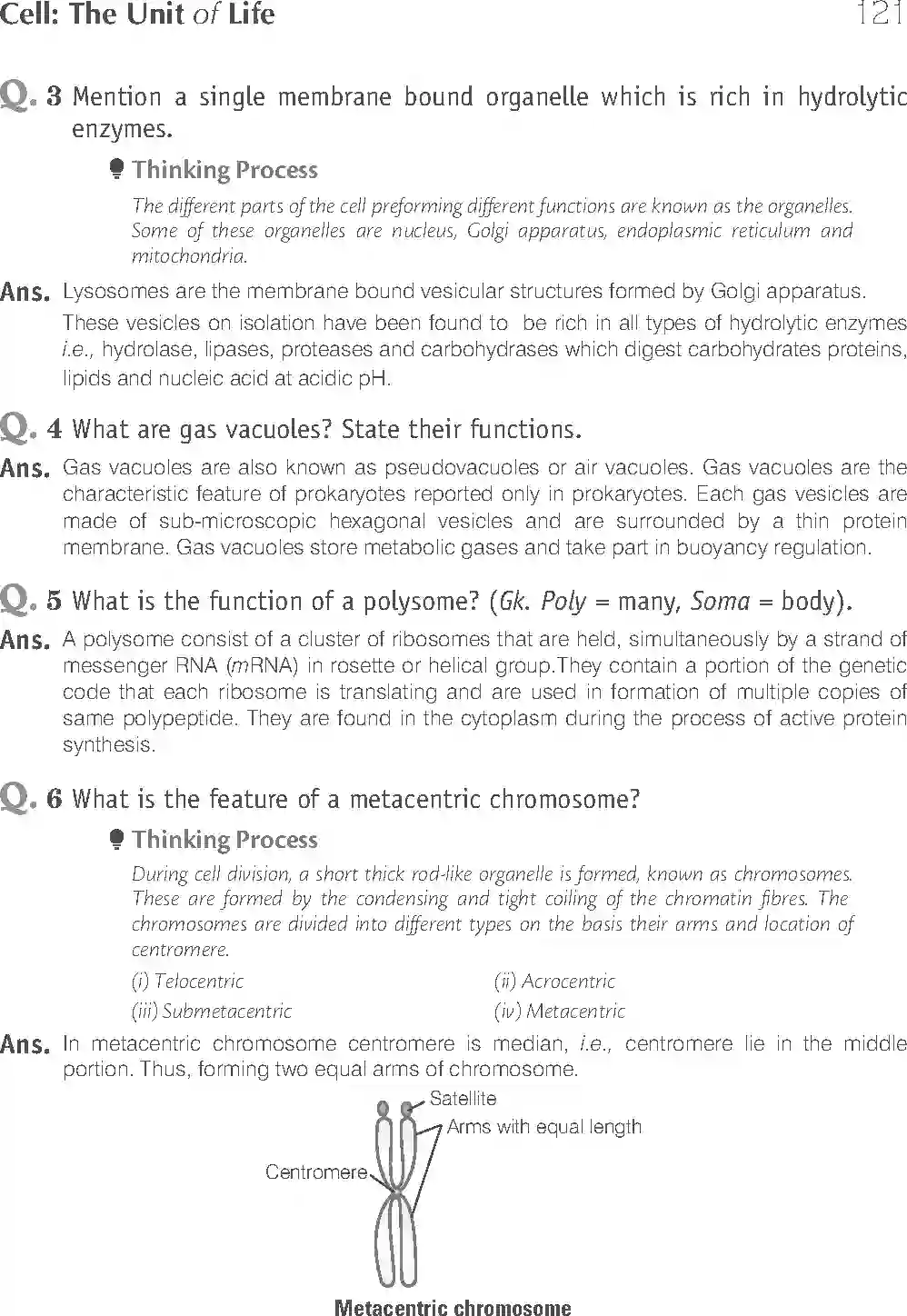 NCERT-Solution-Class-11-Biology-Exemplar-Cell--The-Unit-of-Life-753-page-6