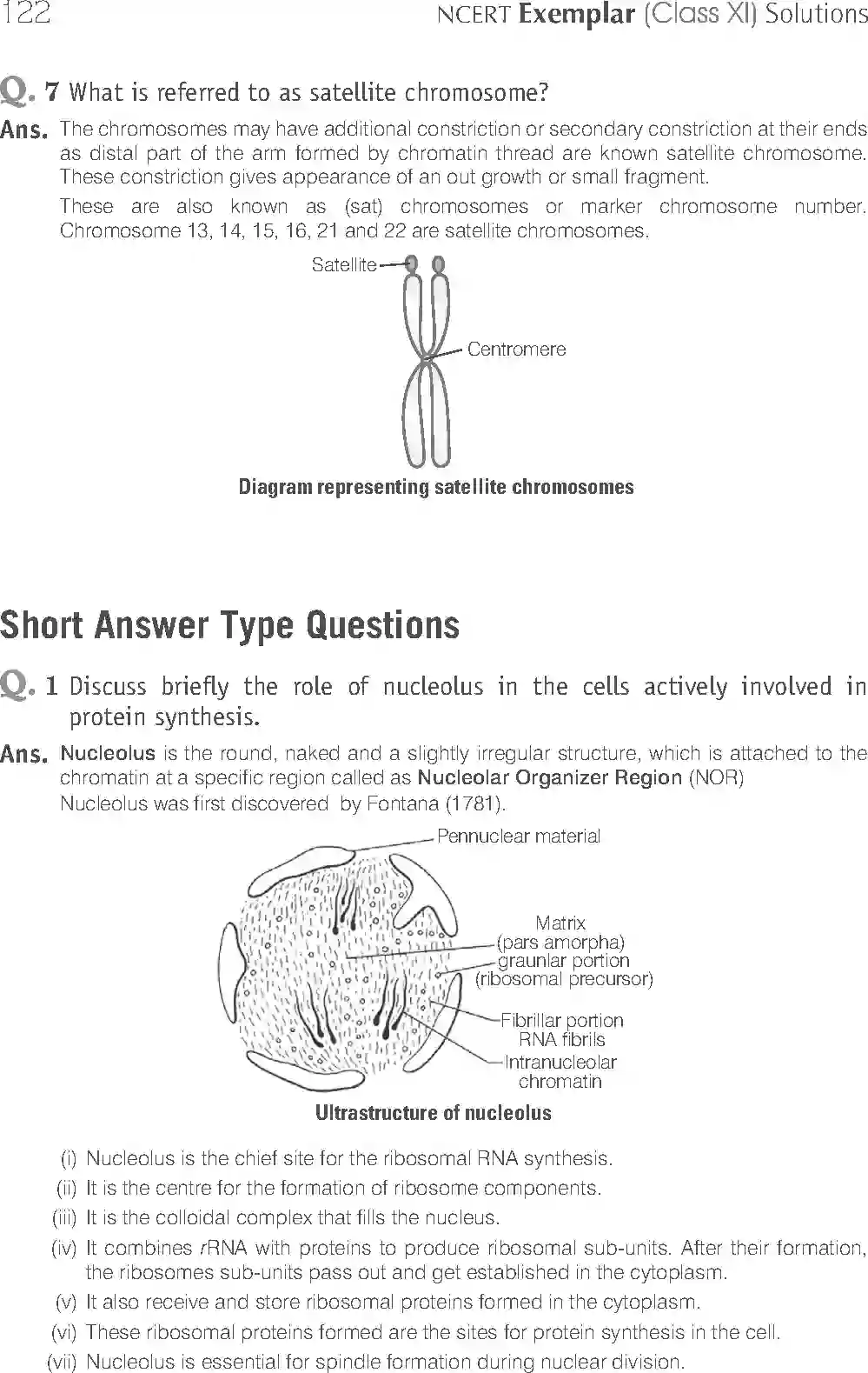 NCERT-Solution-Class-11-Biology-Exemplar-Cell--The-Unit-of-Life-753-page-7