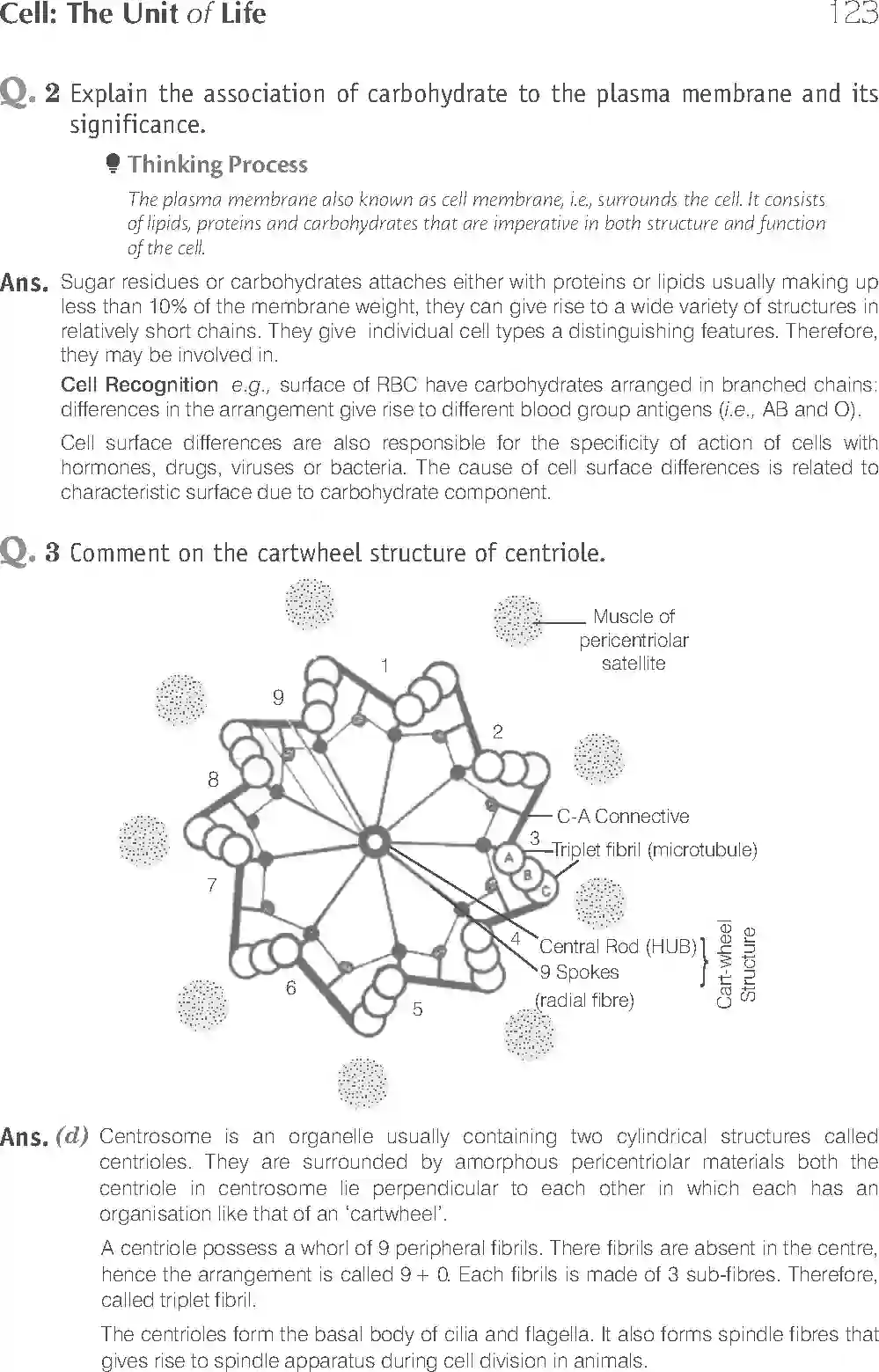 NCERT-Solution-Class-11-Biology-Exemplar-Cell--The-Unit-of-Life-753-page-8