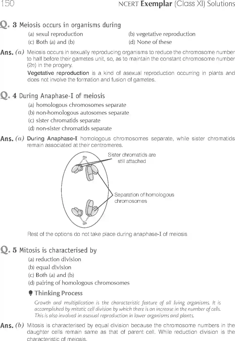 NCERT-Solution-Class-11-Biology-Exemplar-Cell-Cycle-and-Cell-Division-2927-page-2