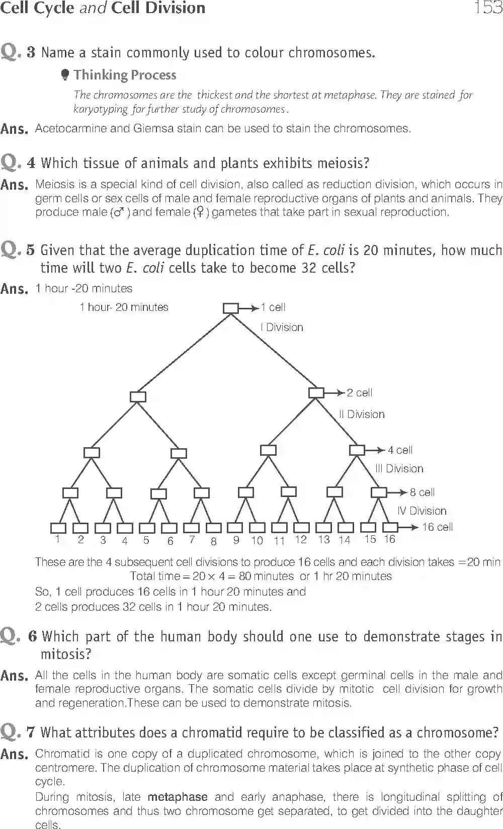 NCERT-Solution-Class-11-Biology-Exemplar-Cell-Cycle-and-Cell-Division-2927-page-5