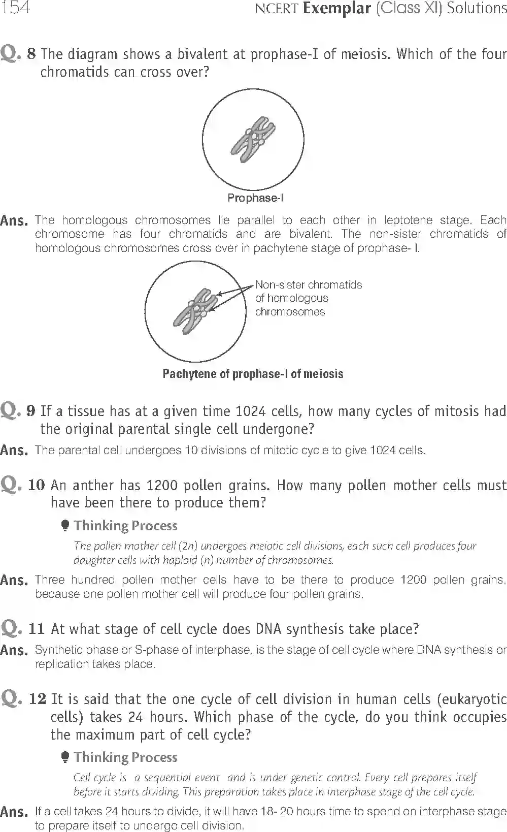 NCERT-Solution-Class-11-Biology-Exemplar-Cell-Cycle-and-Cell-Division-2927-page-6