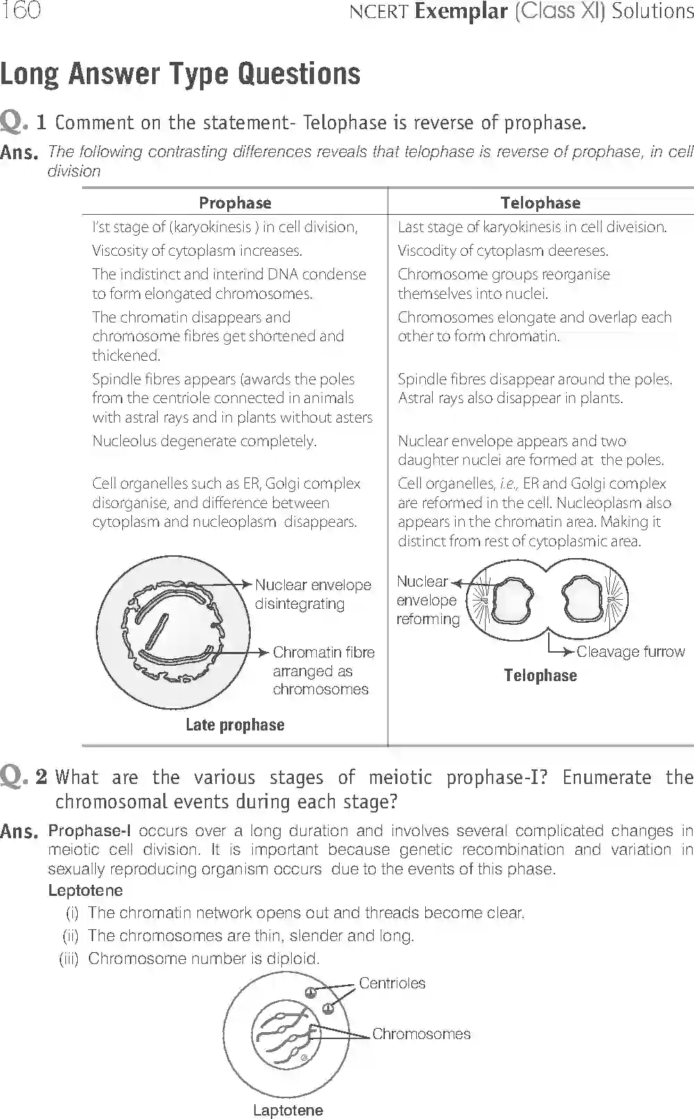 NCERT-Solution-Class-11-Biology-Exemplar-Cell-Cycle-and-Cell-Division-755-page-12