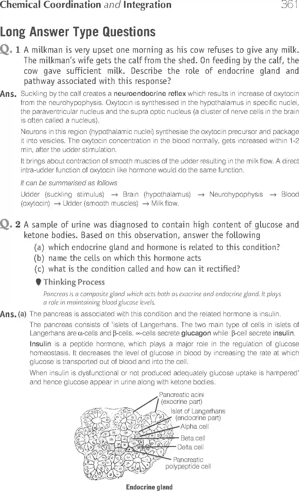 NCERT-Solution-Class-11-Biology-Exemplar-Chemical-Coordination-And-Integration-2939-page-12
