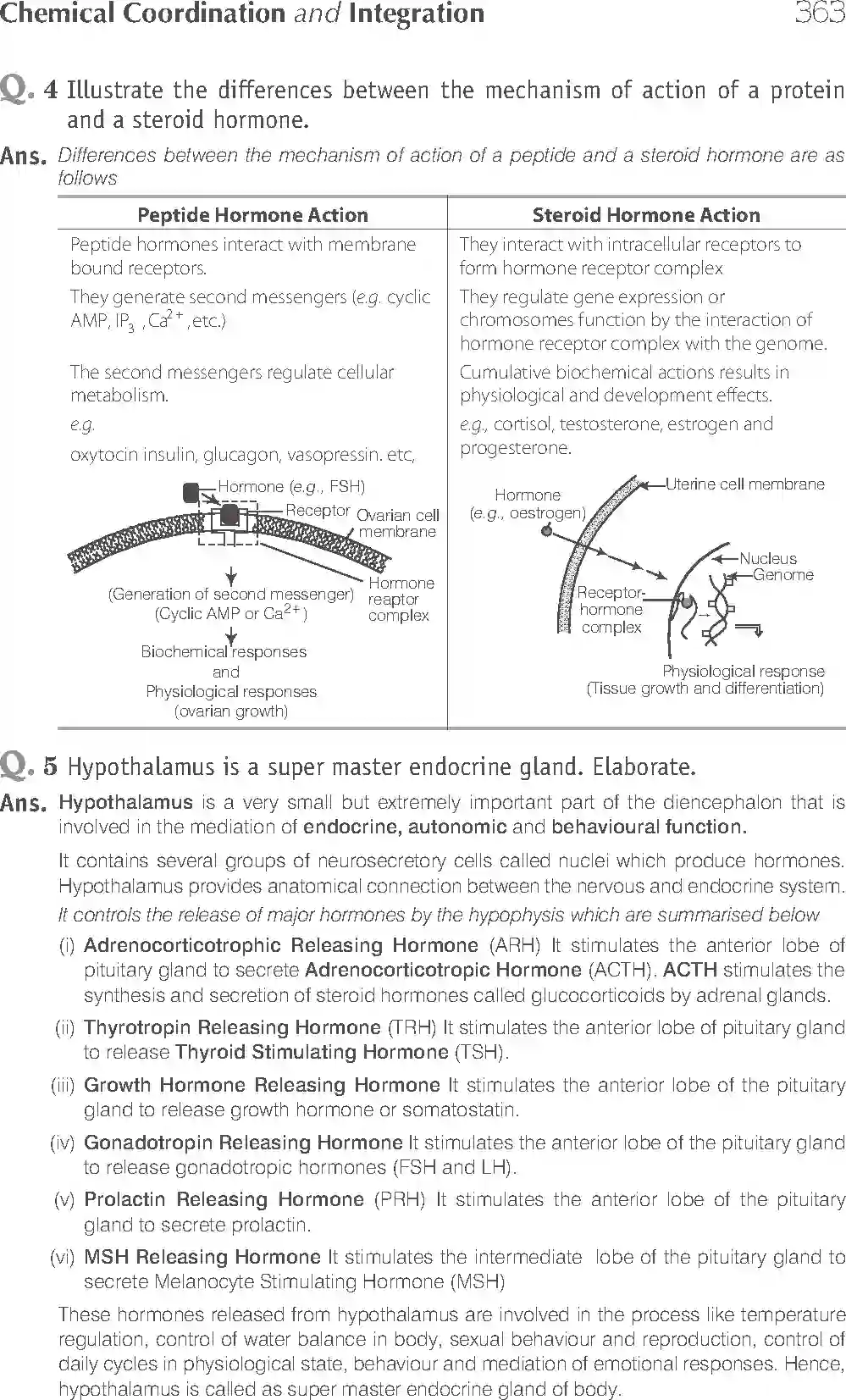 NCERT-Solution-Class-11-Biology-Exemplar-Chemical-Coordination-And-Integration-2939-page-14